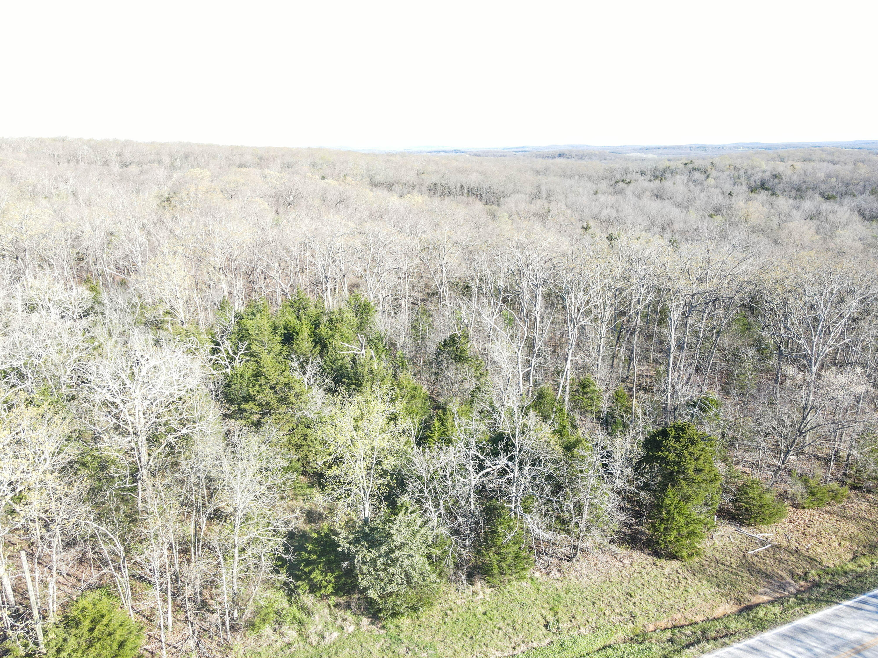 000 South Highway J Property Photo 17