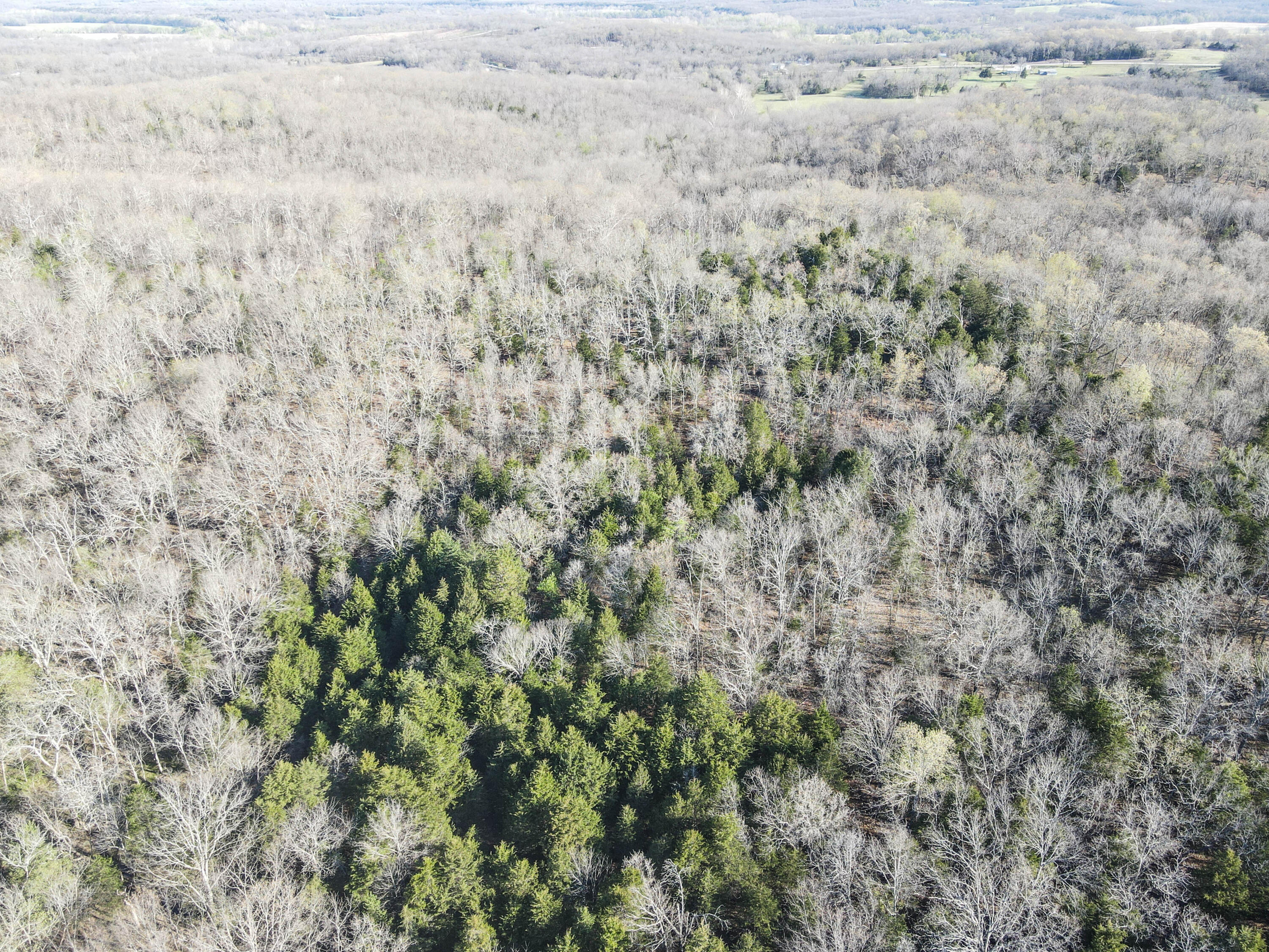 000 South Highway J Property Photo 27