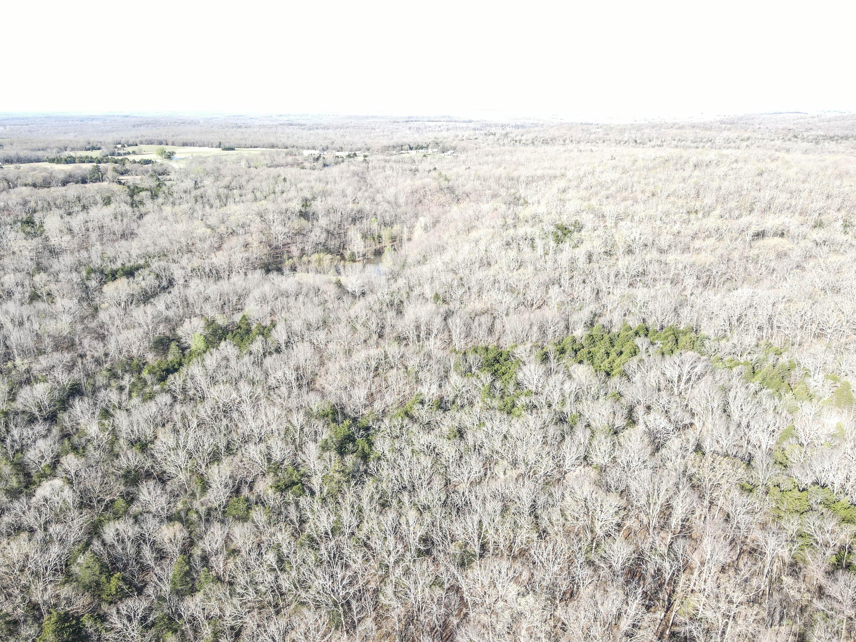 000 South Highway J Property Photo 35