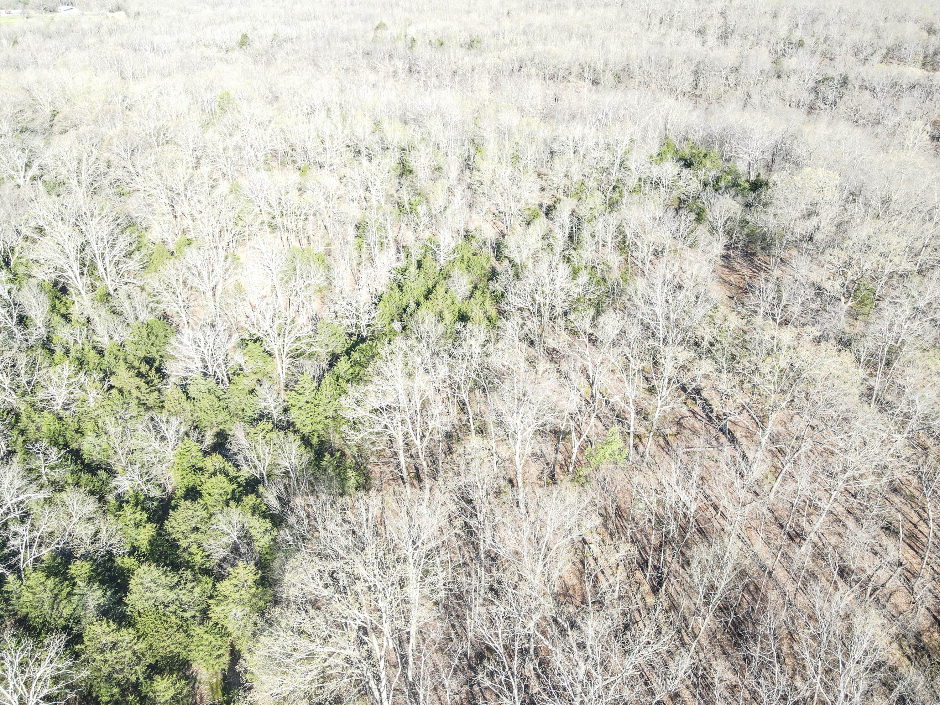 000 South Highway J Property Photo 42