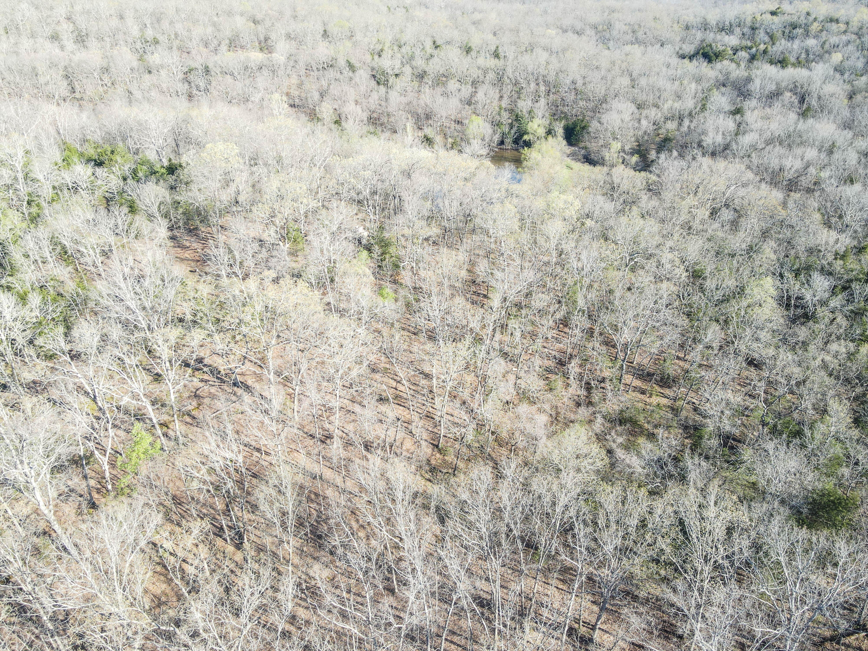 000 South Highway J Property Photo 43