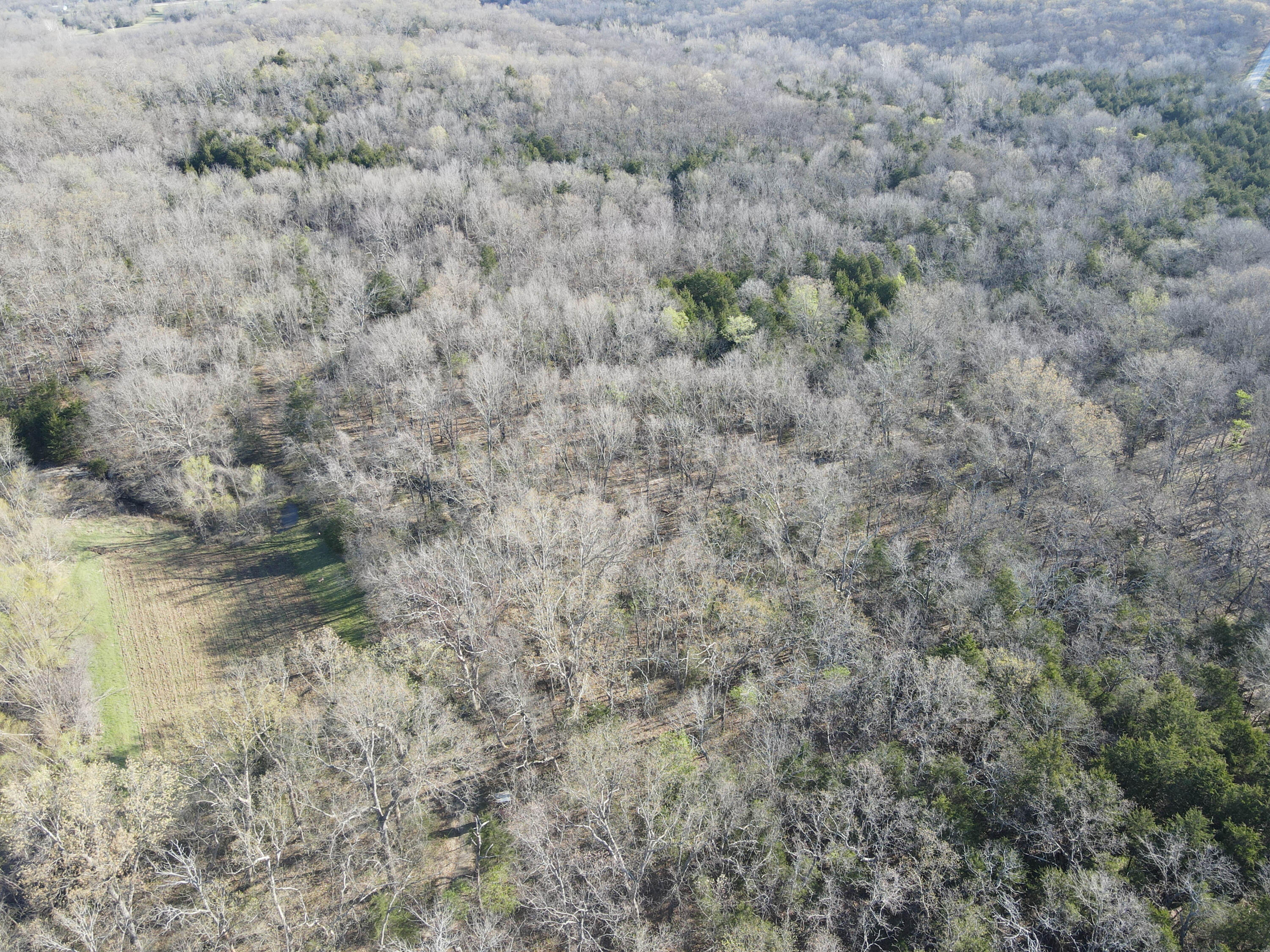 000 South Highway J Property Photo 44