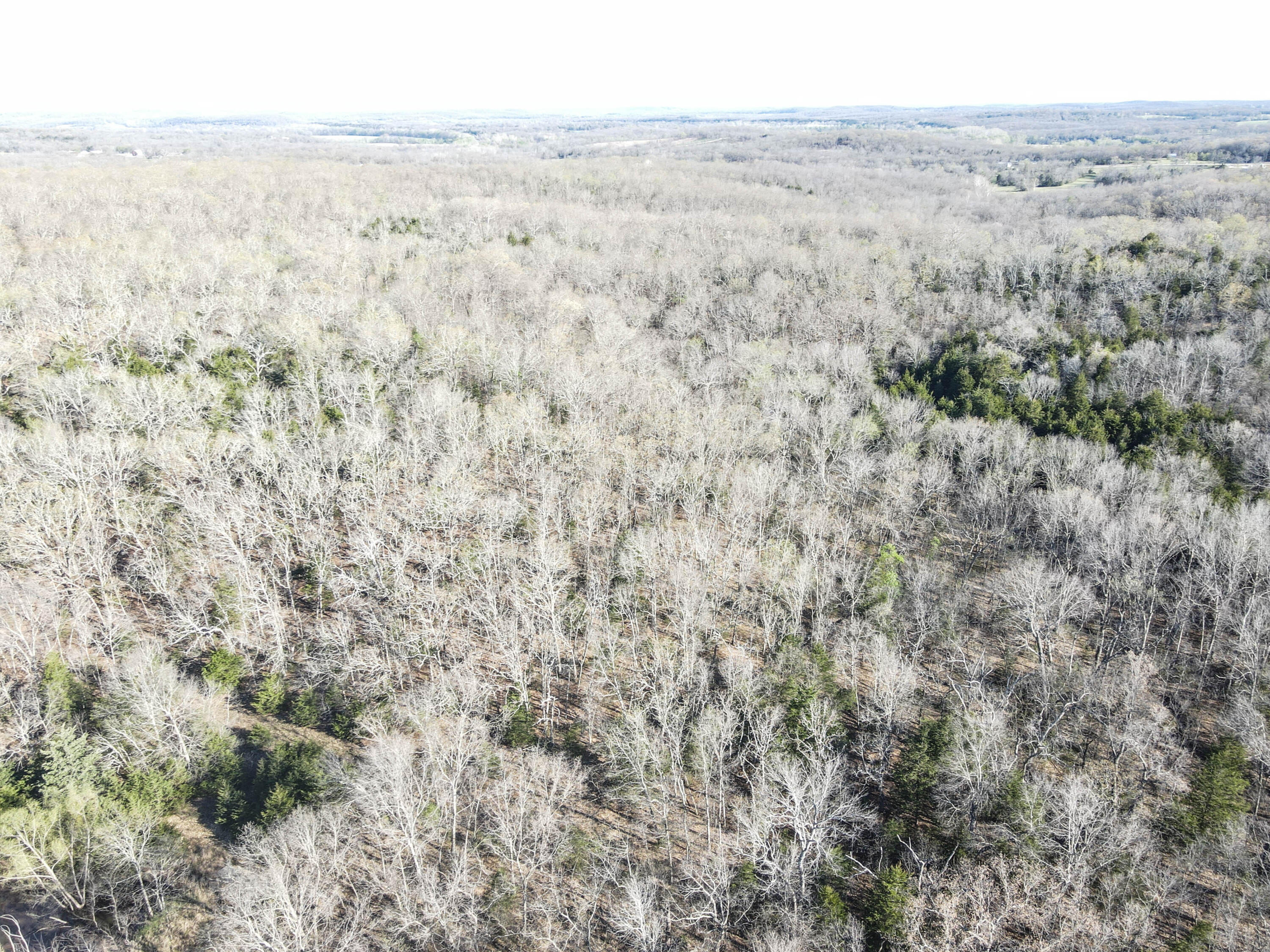 000 South Highway J Property Photo 46