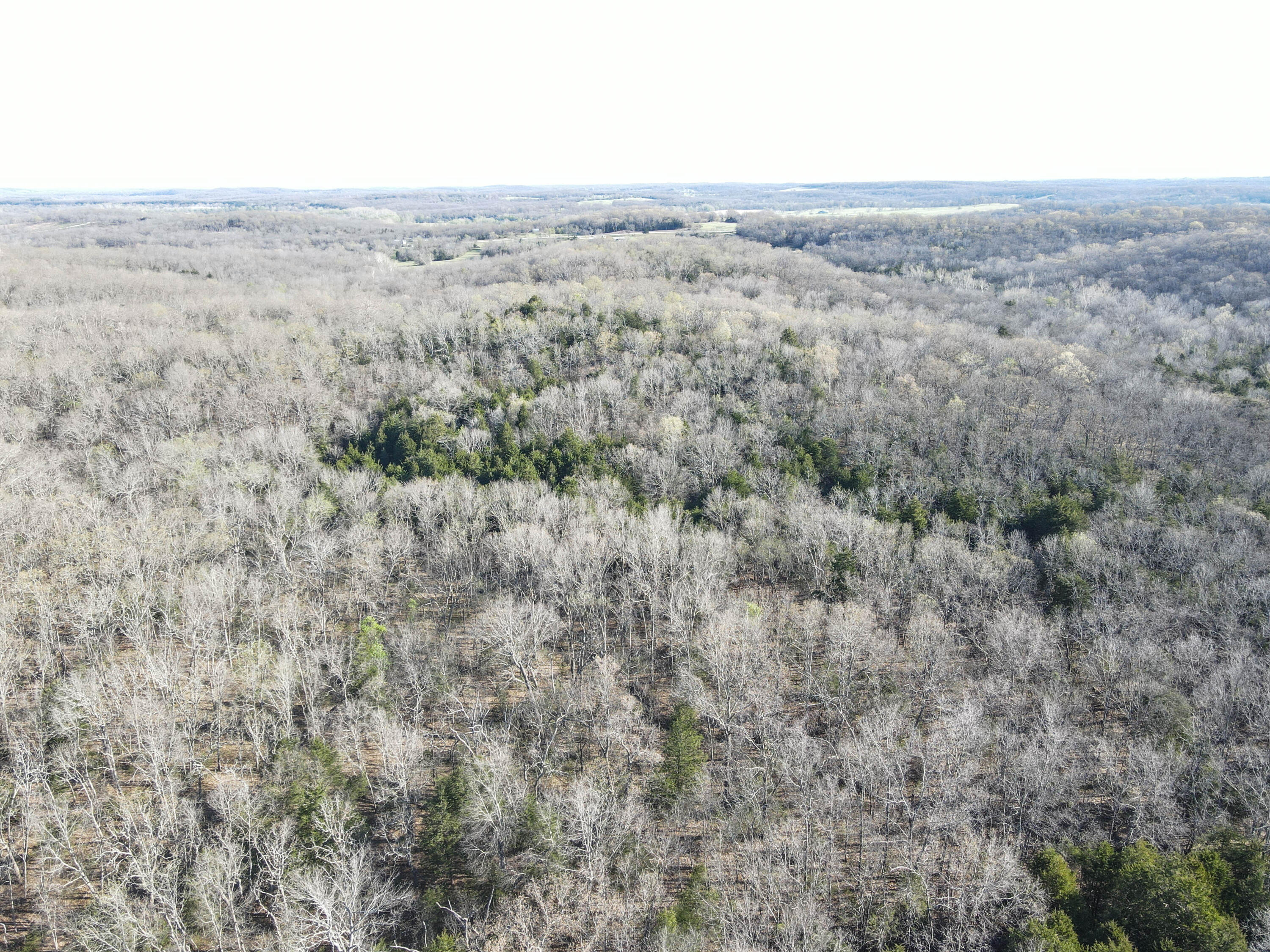 000 South Highway J Property Photo 47