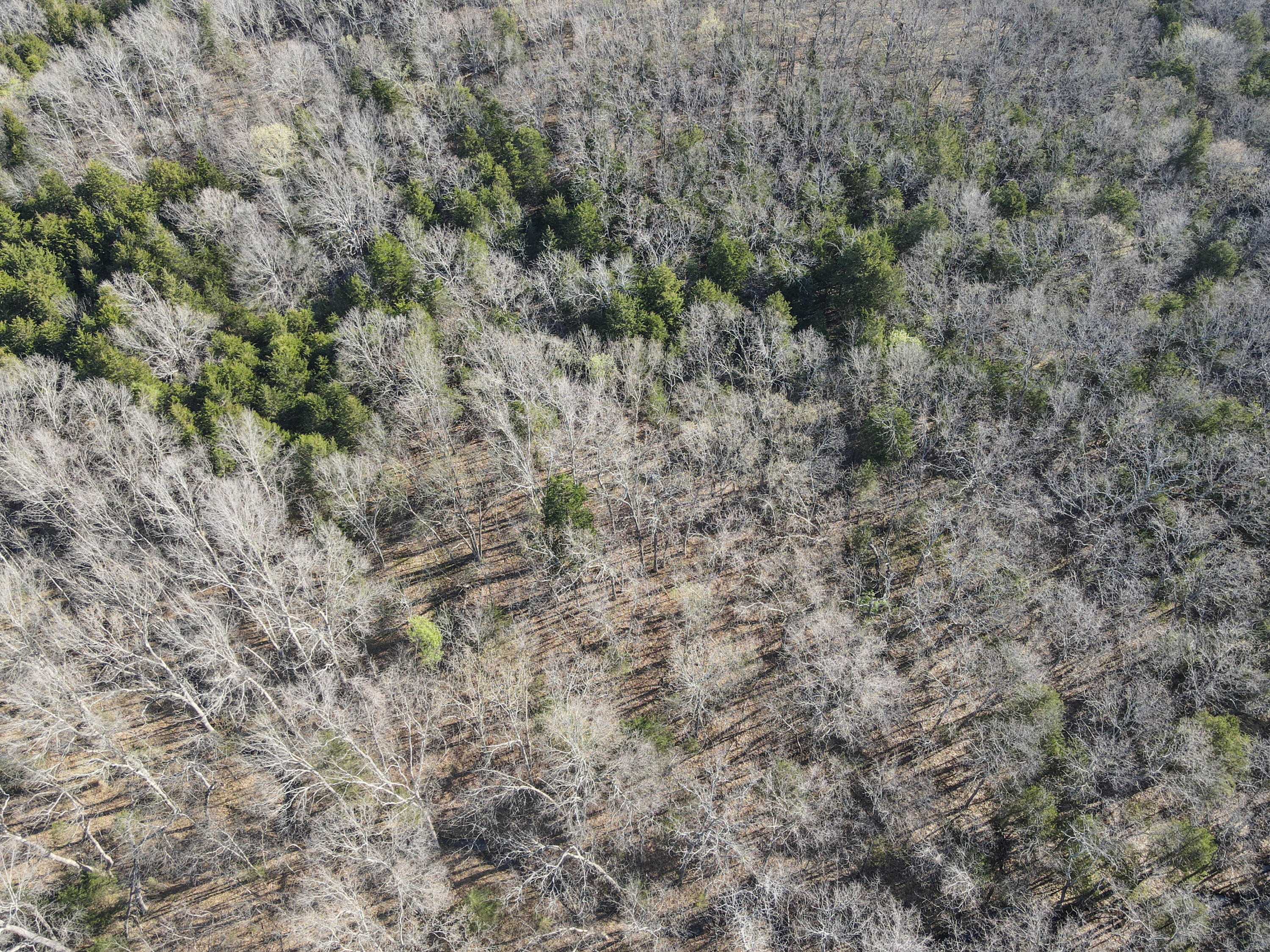 000 South Highway J Property Photo 48
