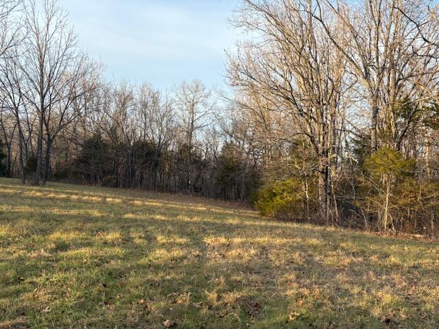 002 State Hwy O Property Photo 17