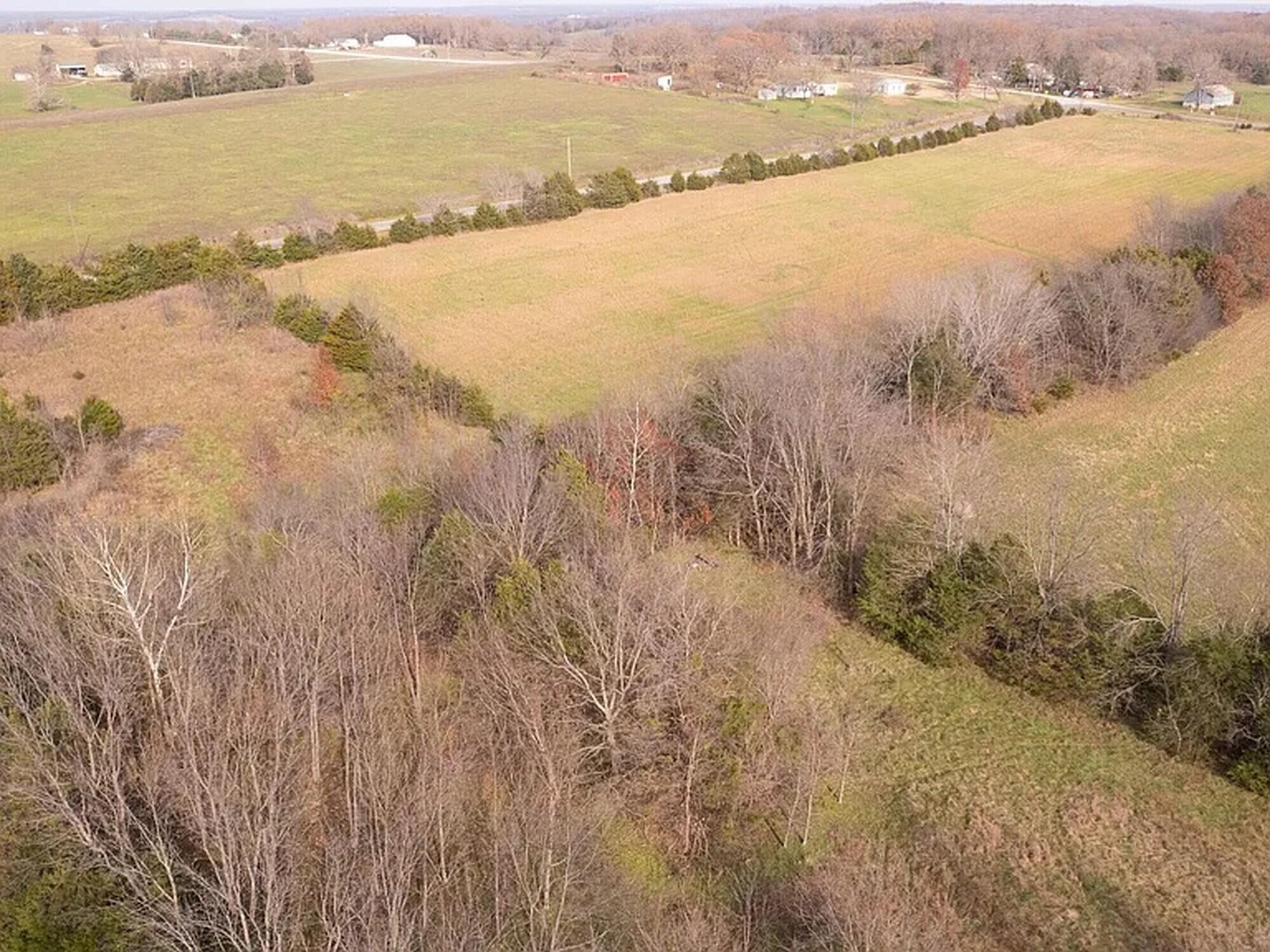239 Ozark Loop Lot 2 Property Photo 12