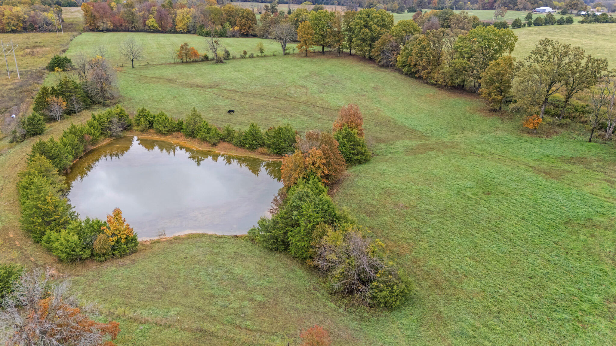 7291 State Route West Property Photo 79