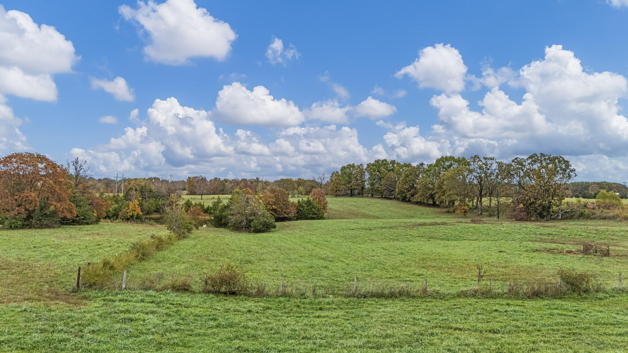 7291 State Route West Property Photo 98