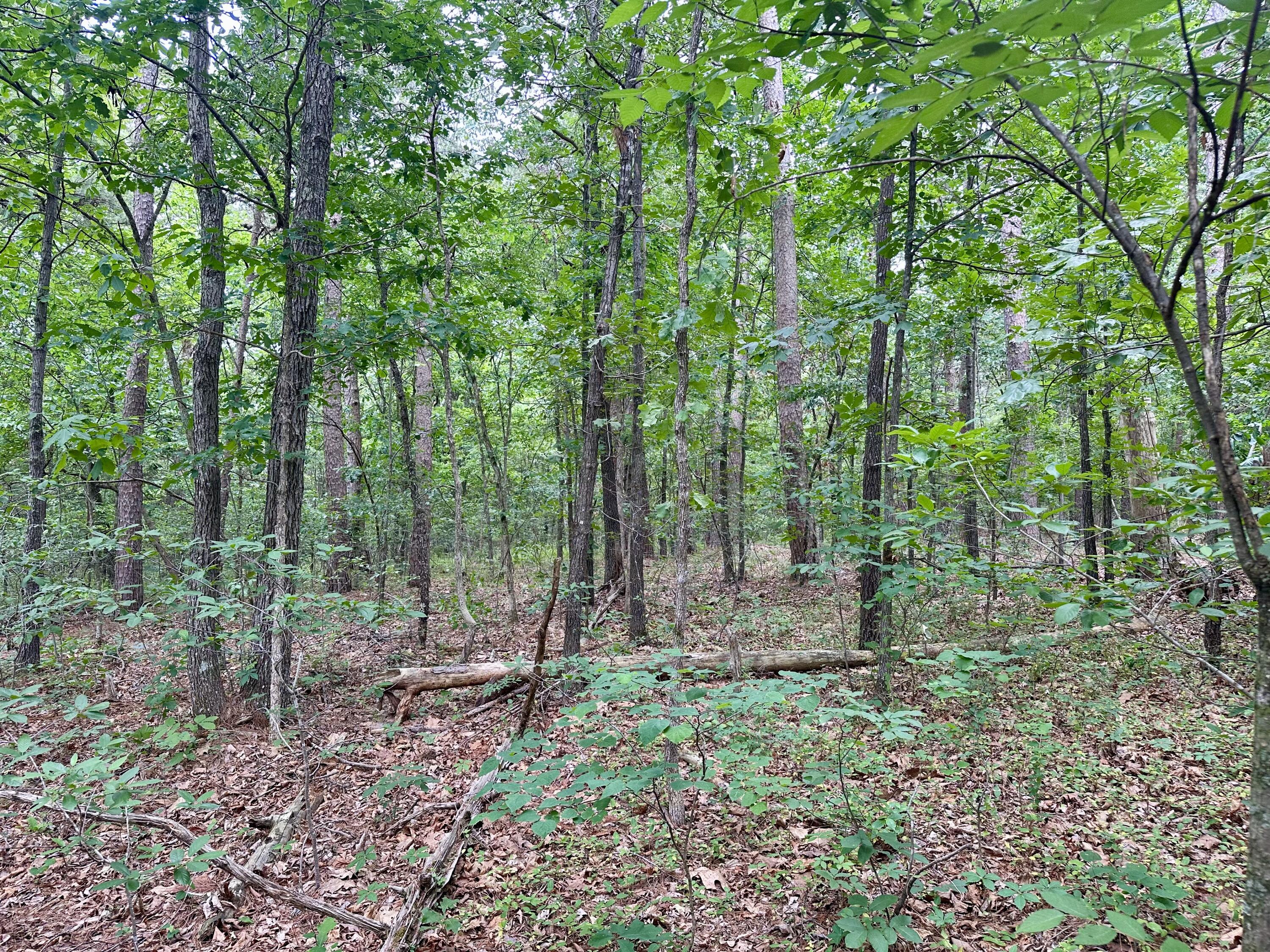 000 Carter 242 Property Photo 14