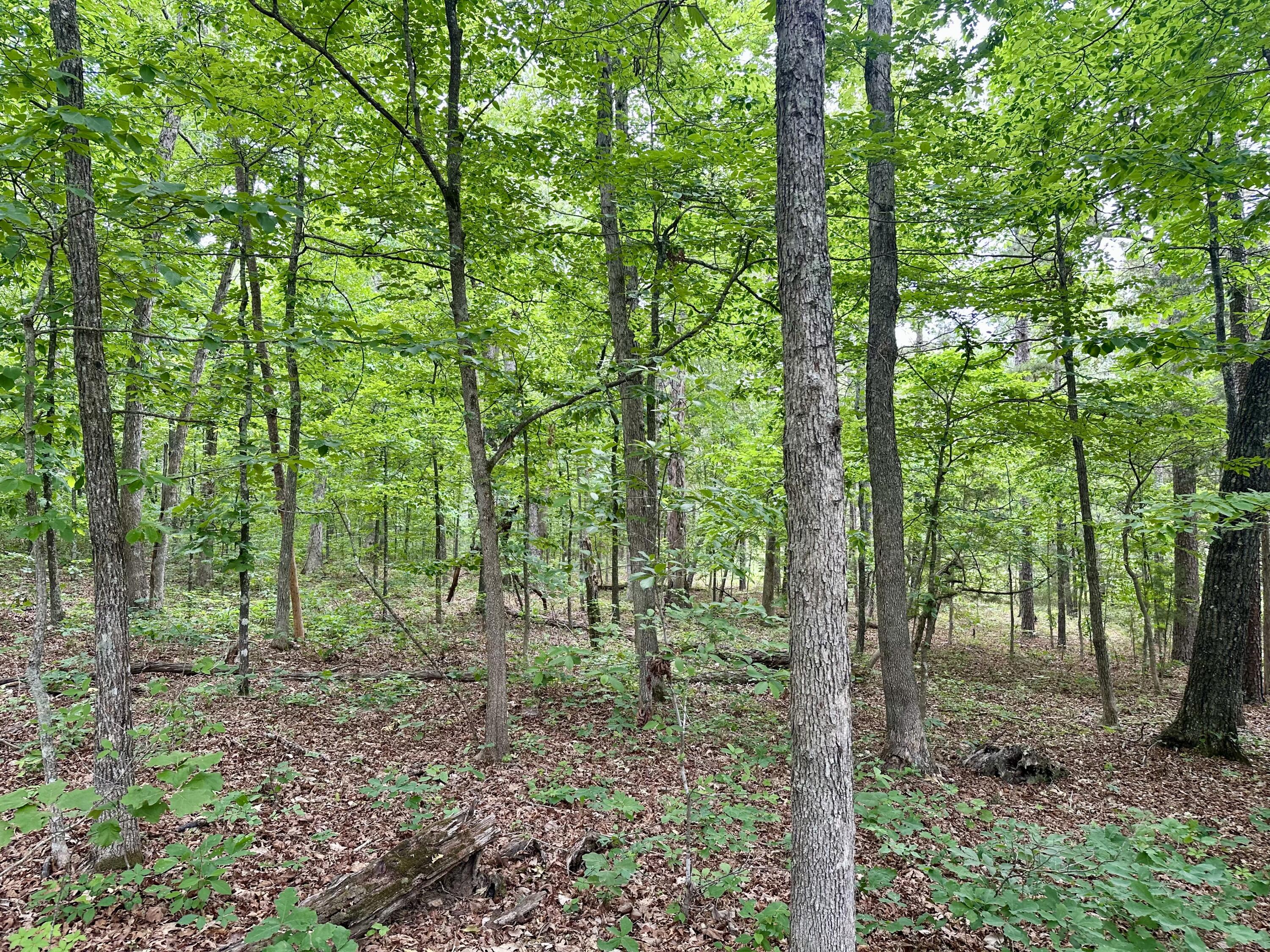 000 Carter 242 Property Photo 16