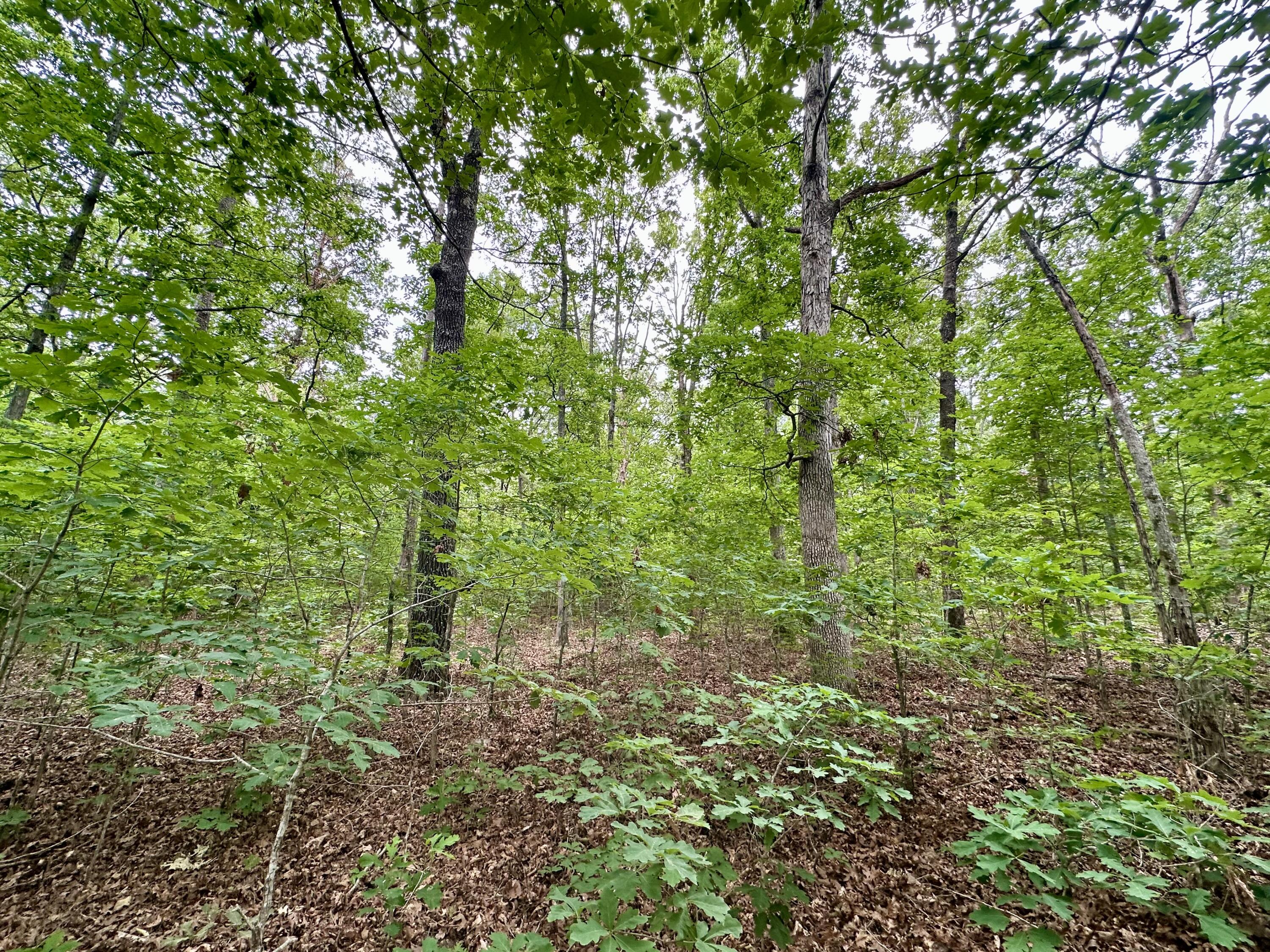 000 Carter 242 Property Photo 27