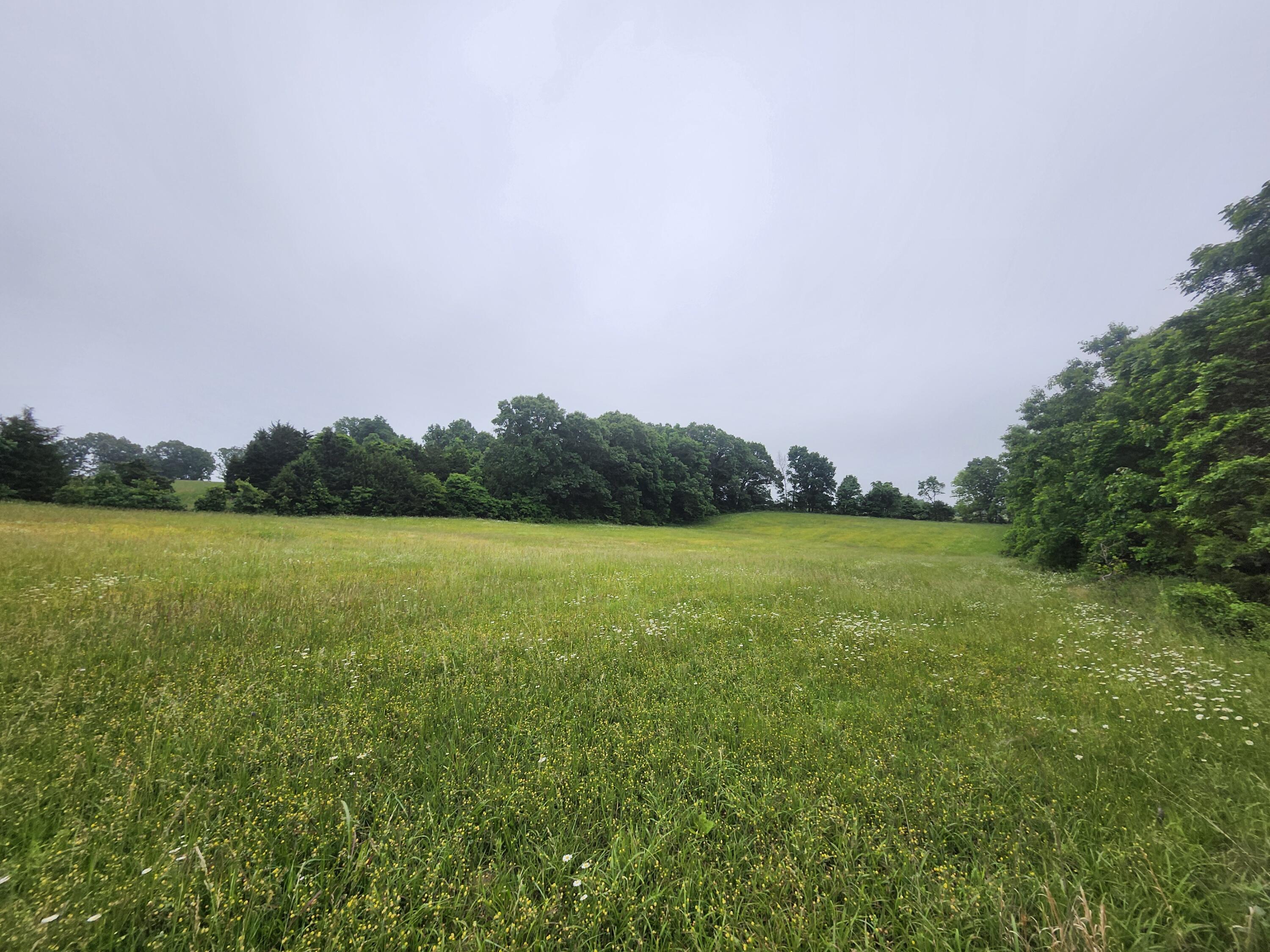 5853 Missouri 5 Property Photo 1