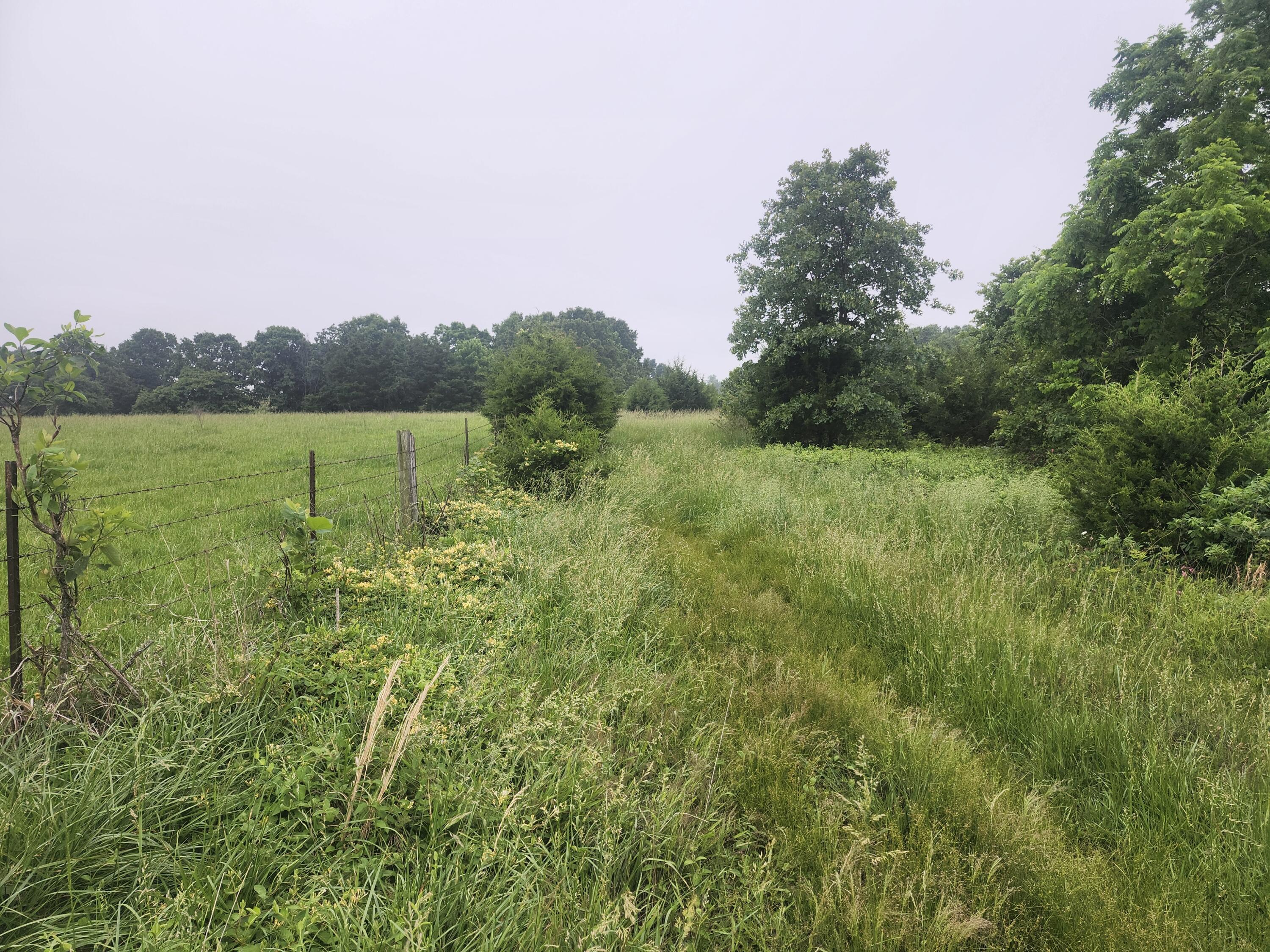 5853 Missouri 5 Property Photo 2