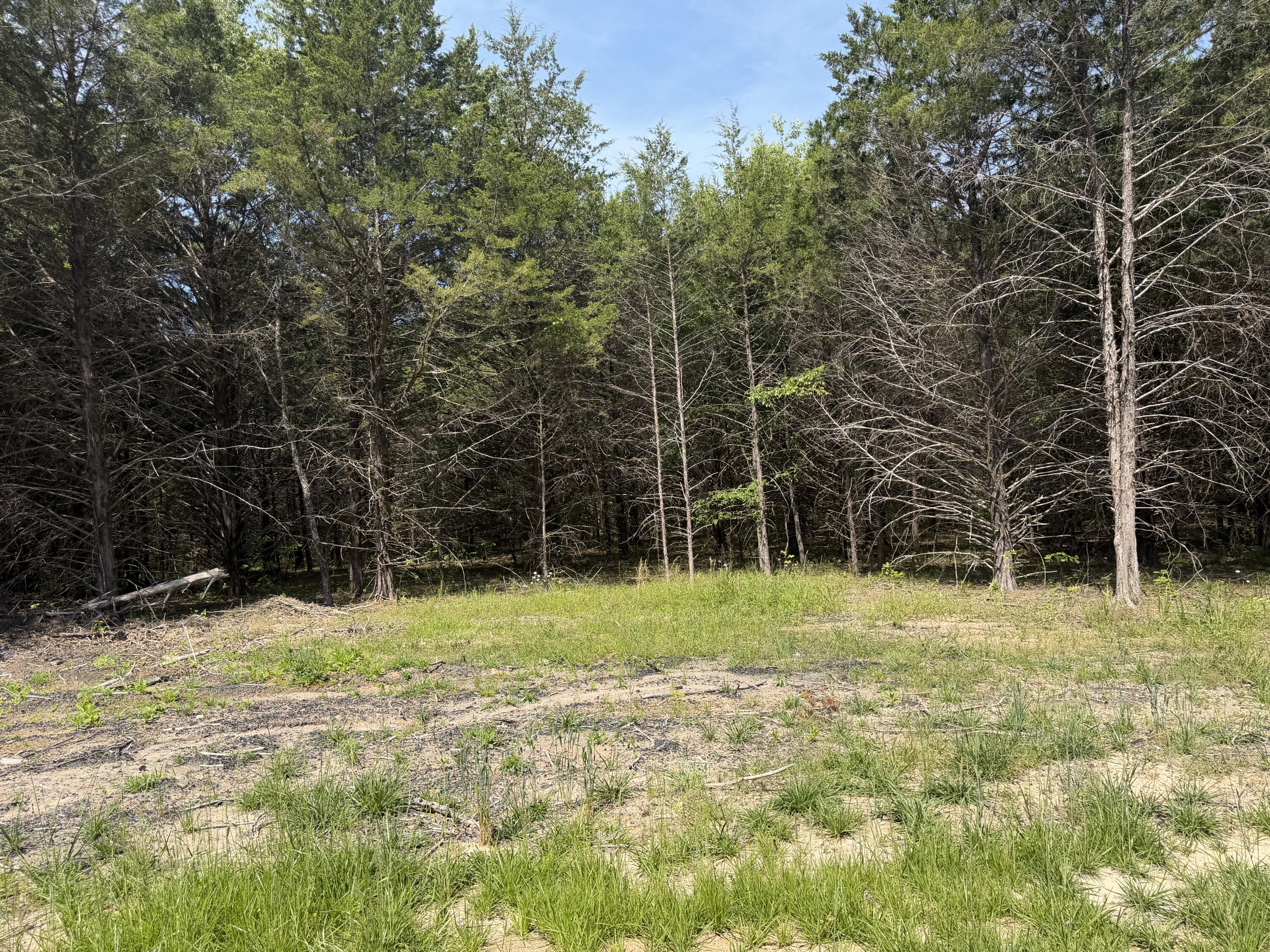 000 County Road 318 Lot 4 Property Photo 22