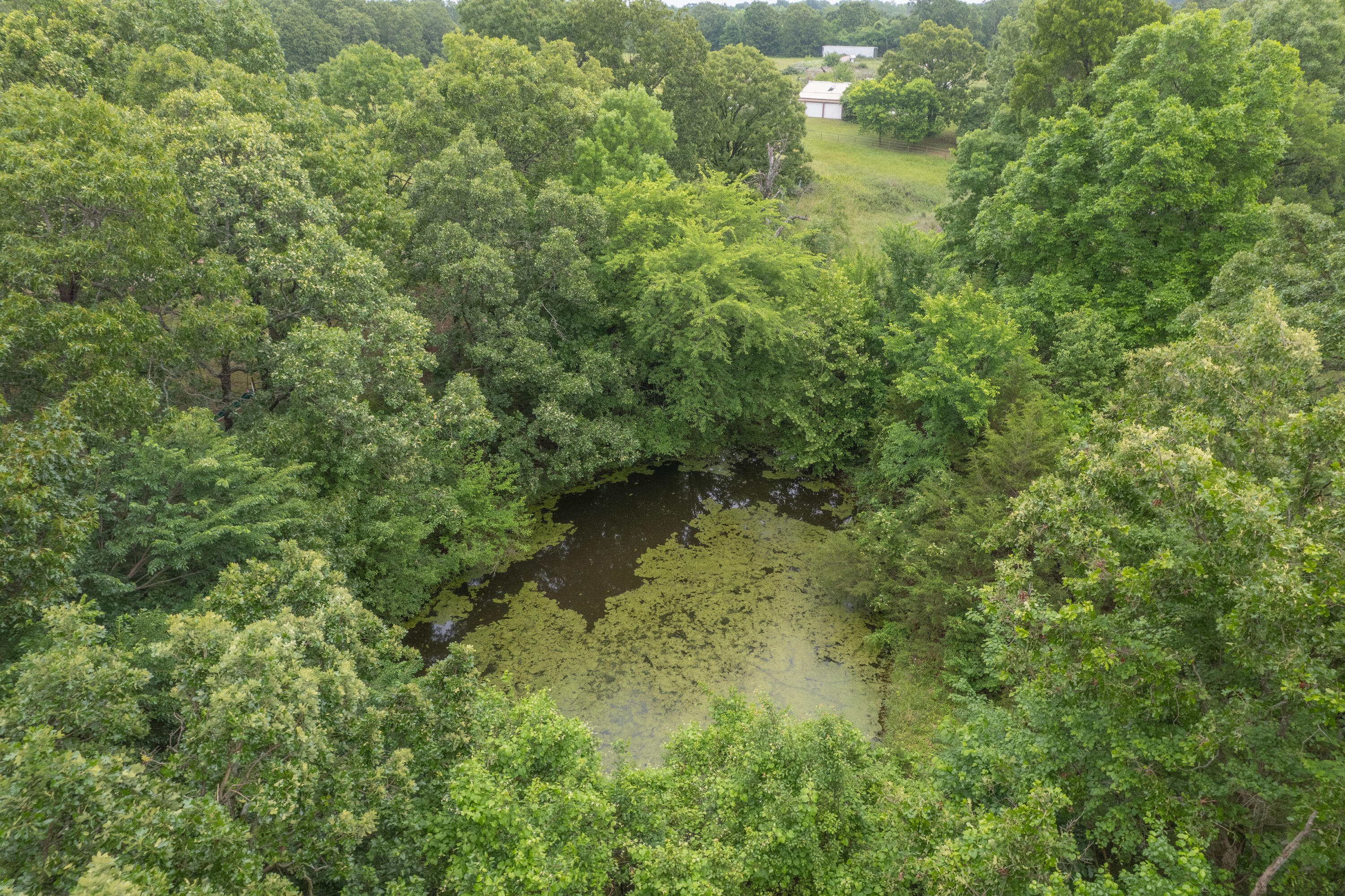 19082 Norway Road Property Photo 49