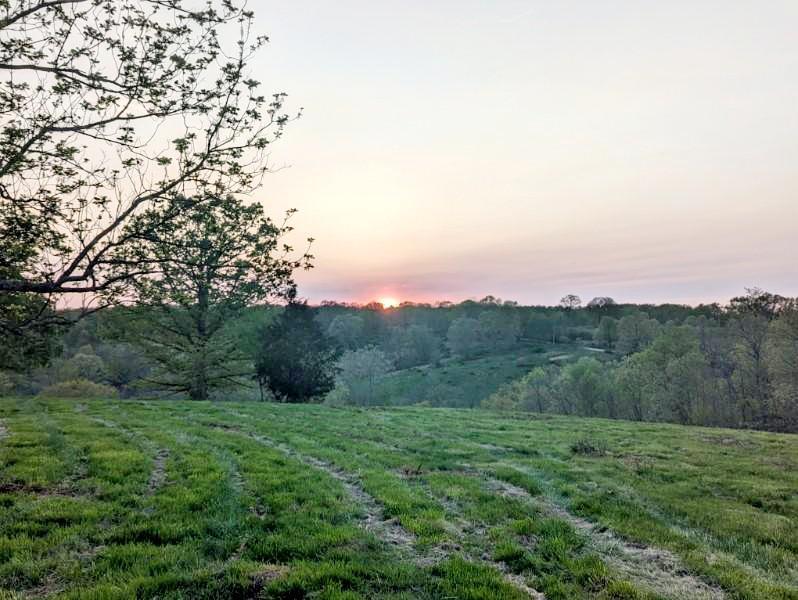 2670 County Road 132 Property Photo 13
