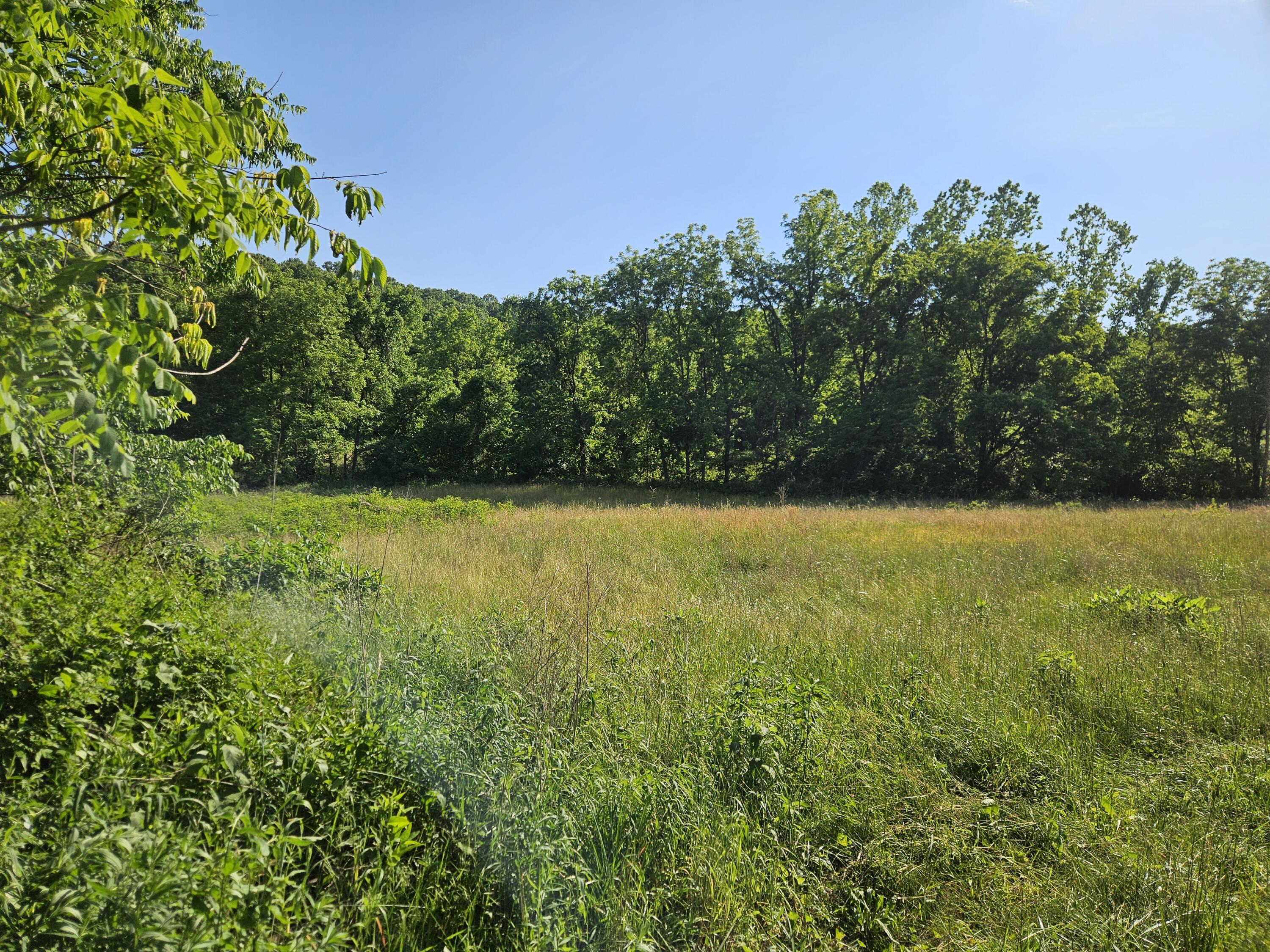 2670 County Road 132 Property Photo 15