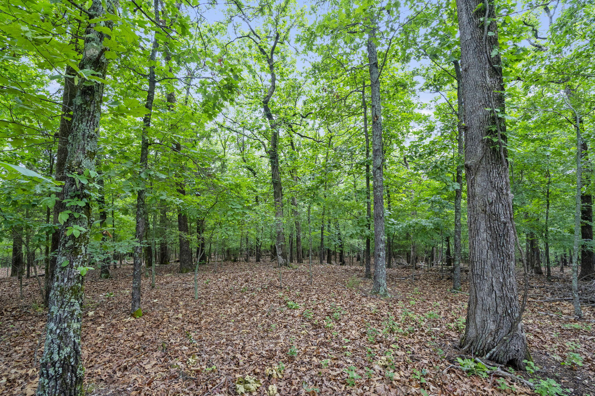 Lot 5 Whispering Hill Drive Property Photo 10