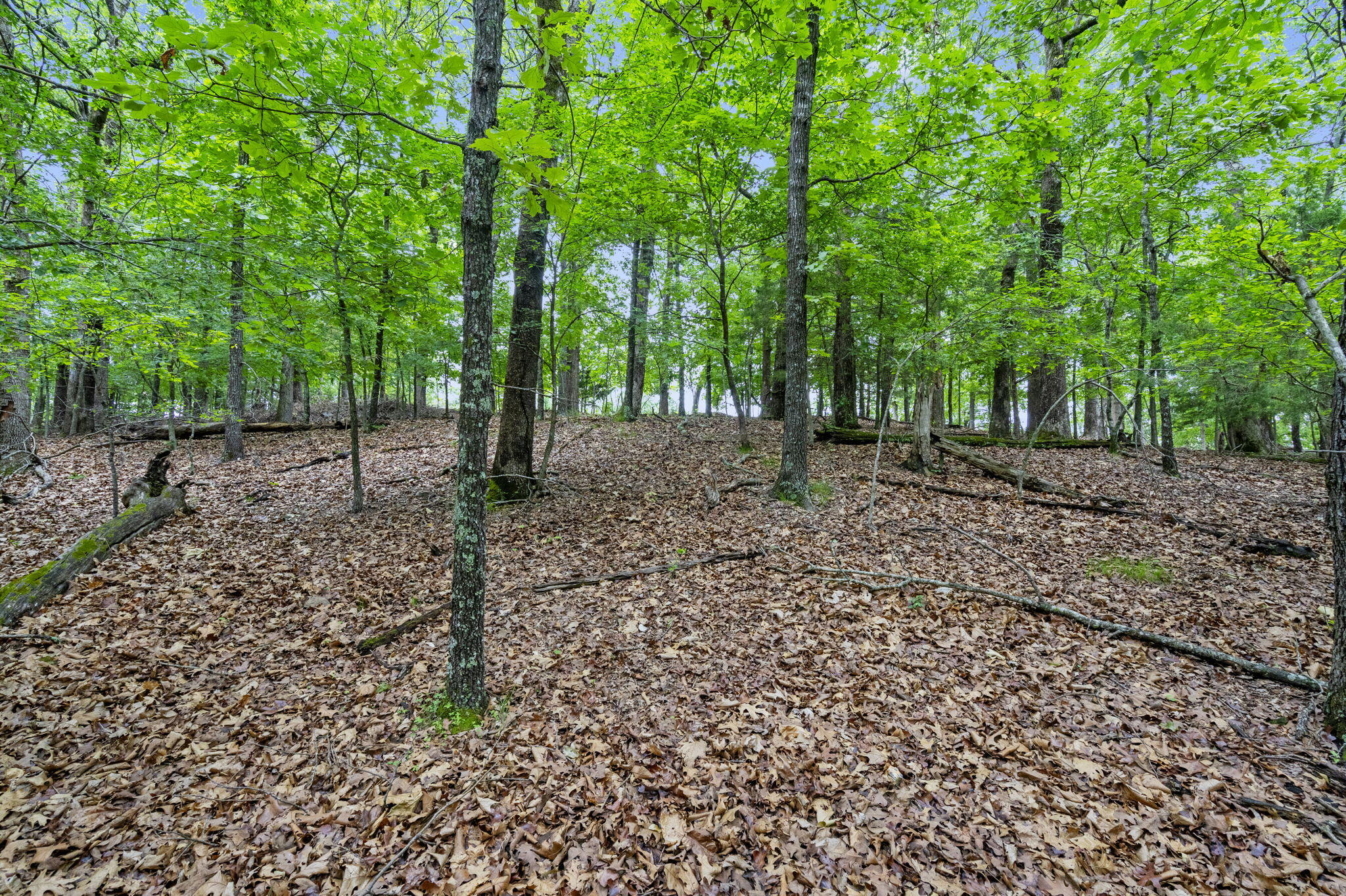 Lot 5 Whispering Hill Drive Property Photo 11
