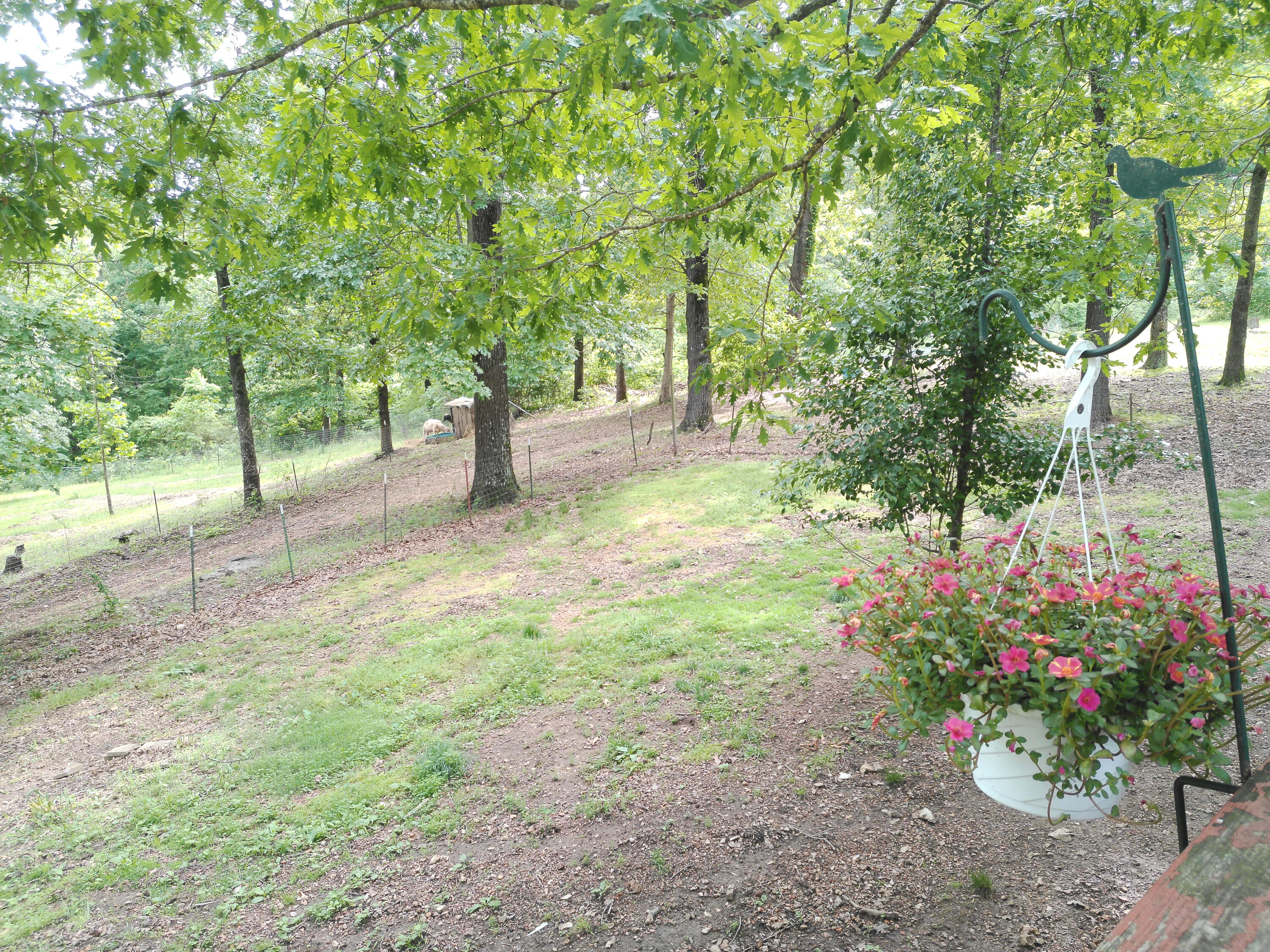152 Obenshain Lane Property Photo 21