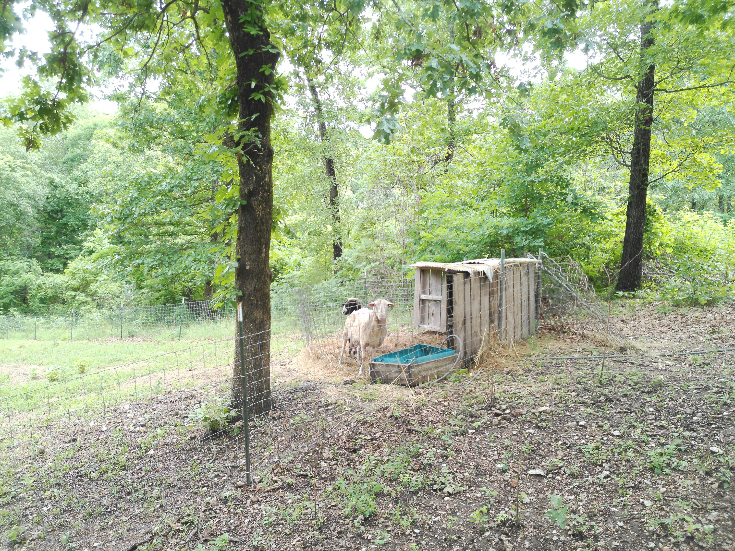 152 Obenshain Lane Property Photo 25