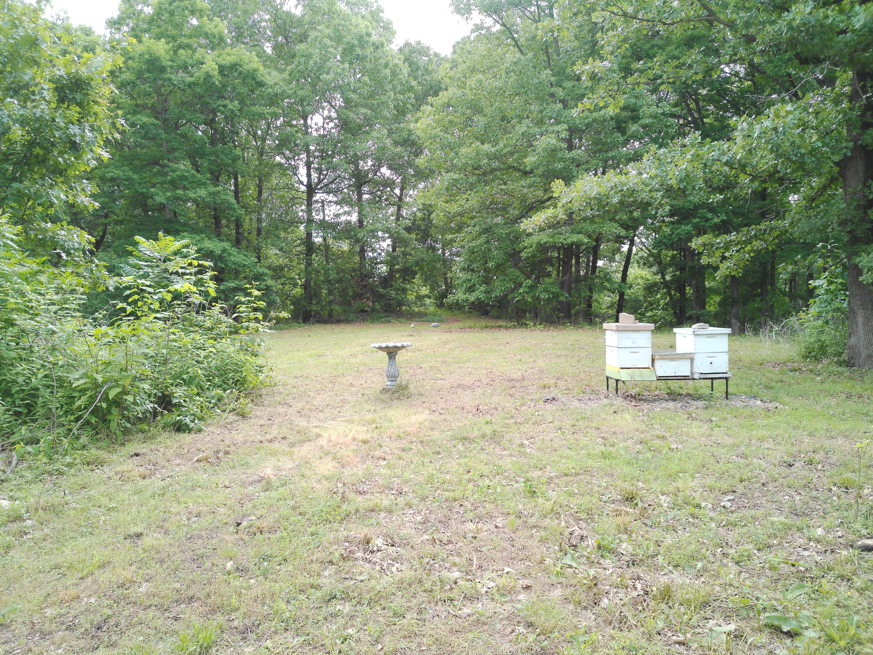152 Obenshain Lane Property Photo 27