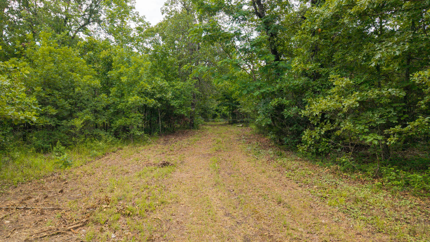 637 County Road 259 Property Photo 3