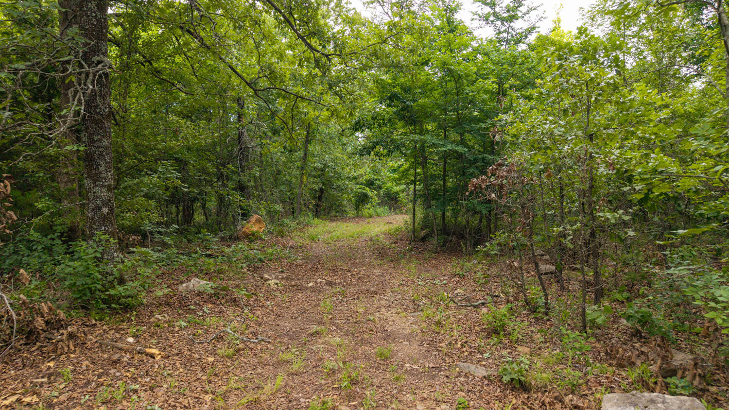 637 County Road 259 Property Photo 4