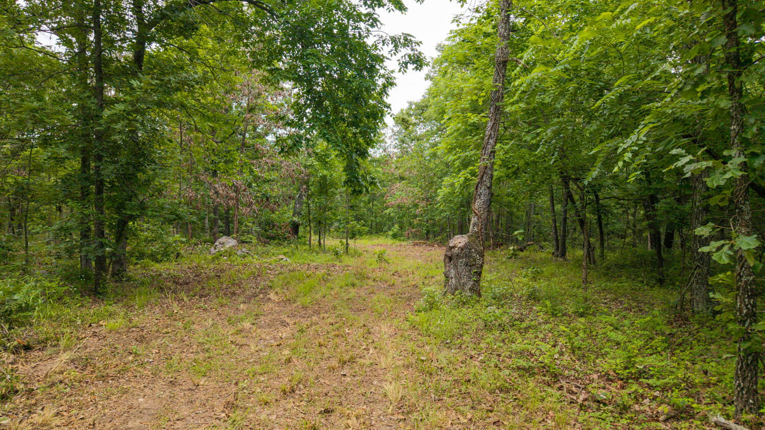 637 County Road 259 Property Photo 5