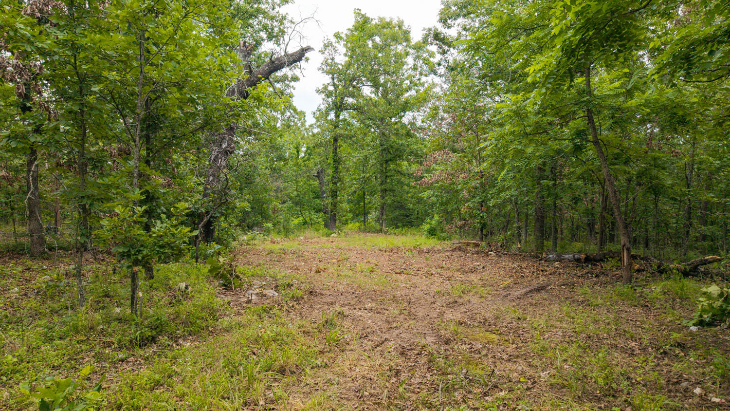 637 County Road 259 Property Photo 6