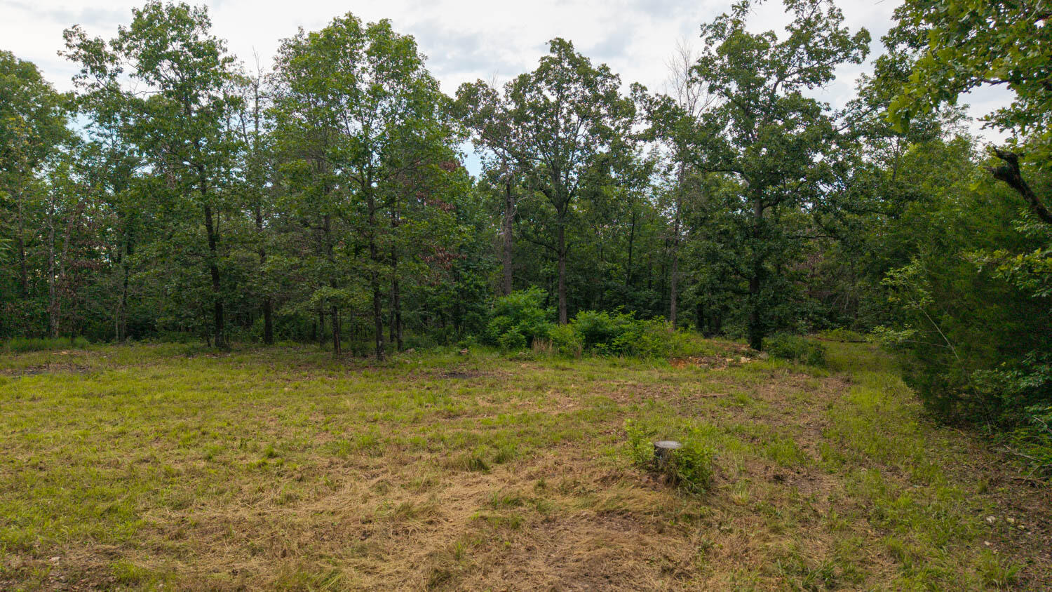 637 County Road 259 Property Photo 7