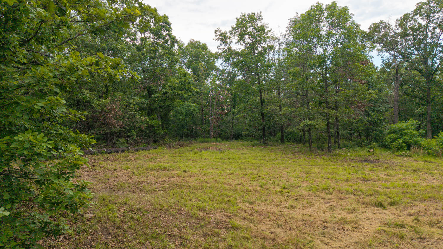 637 County Road 259 Property Photo 8