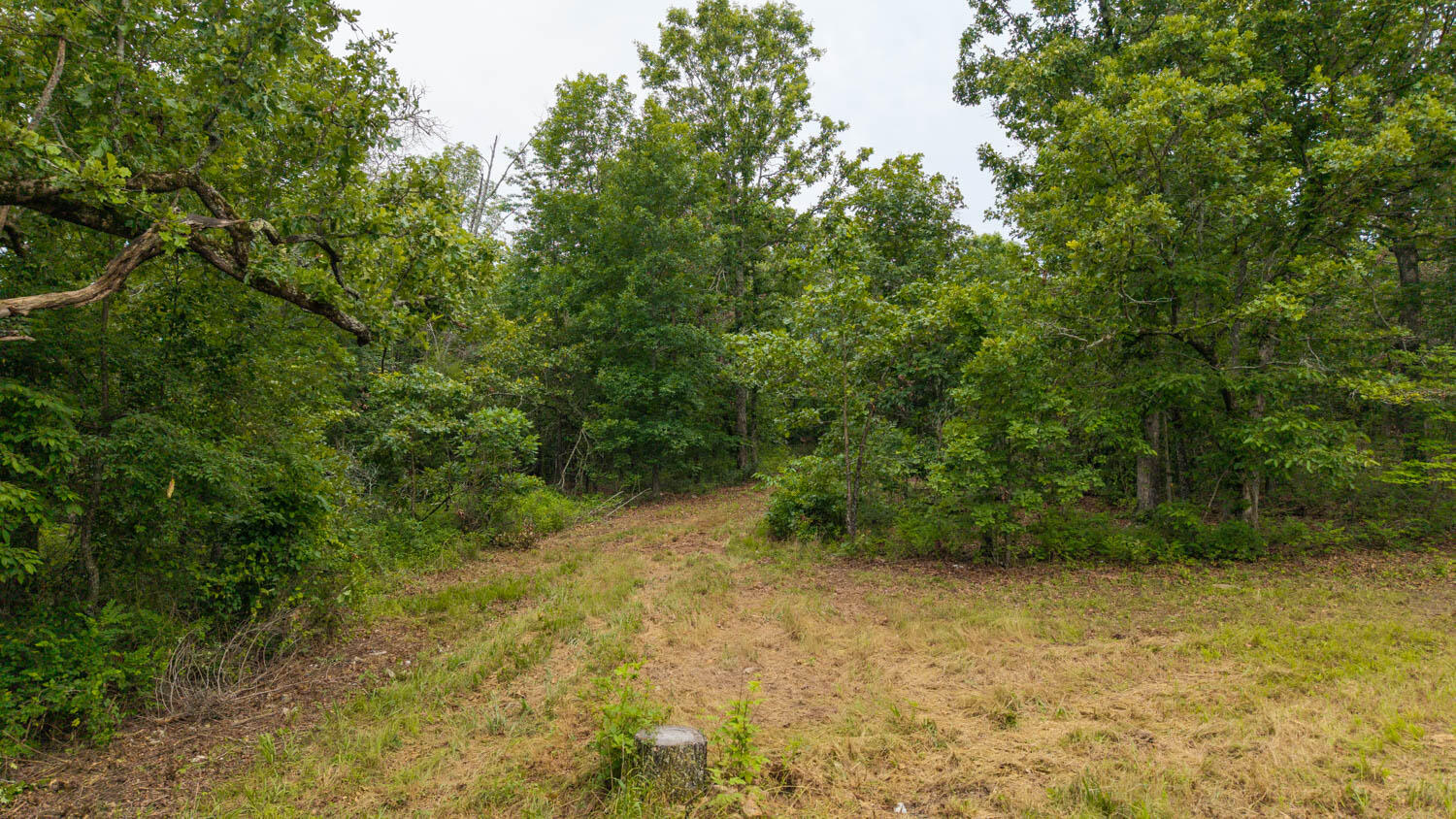 637 County Road 259 Property Photo 9