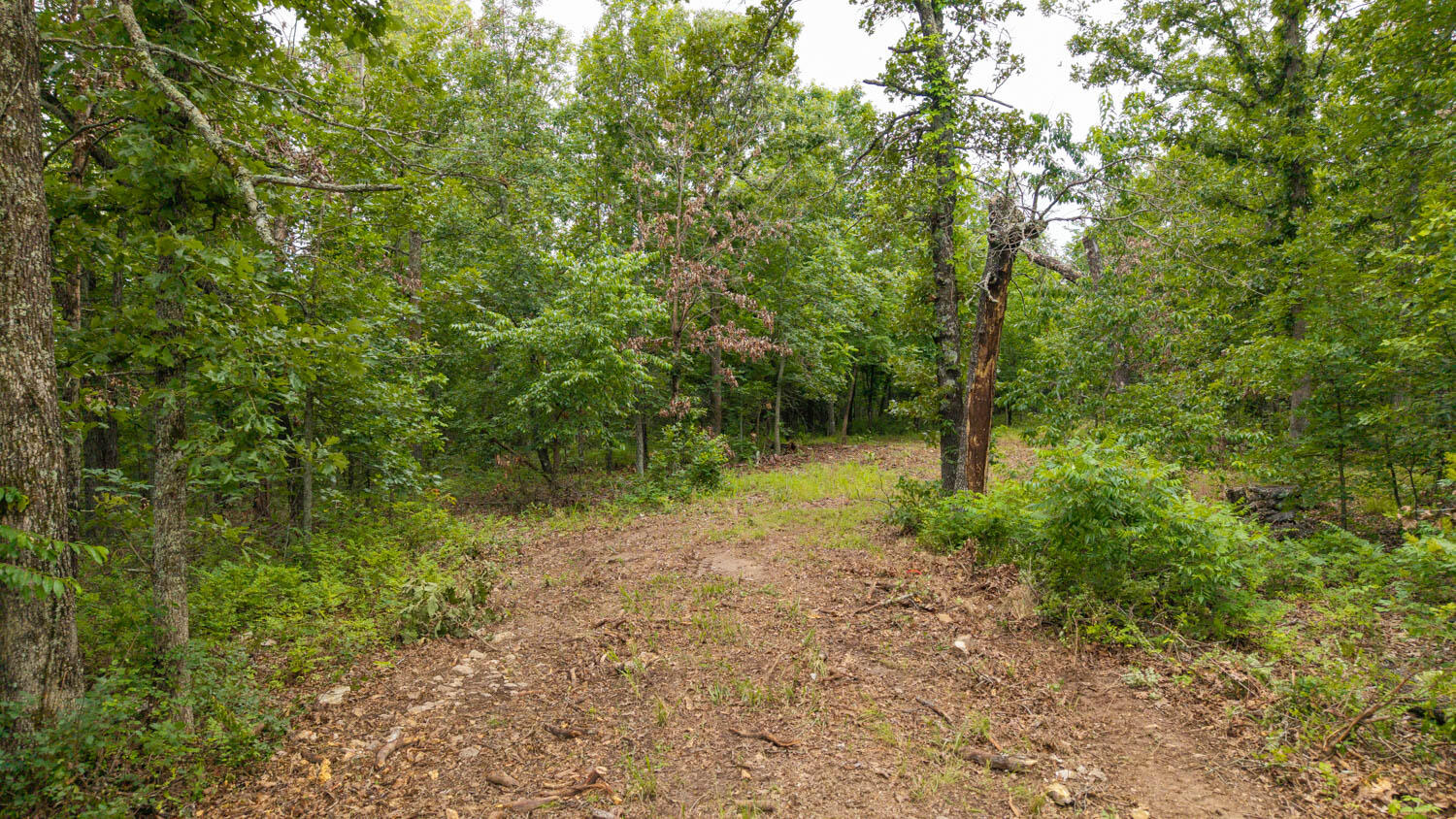 637 County Road 259 Property Photo 10