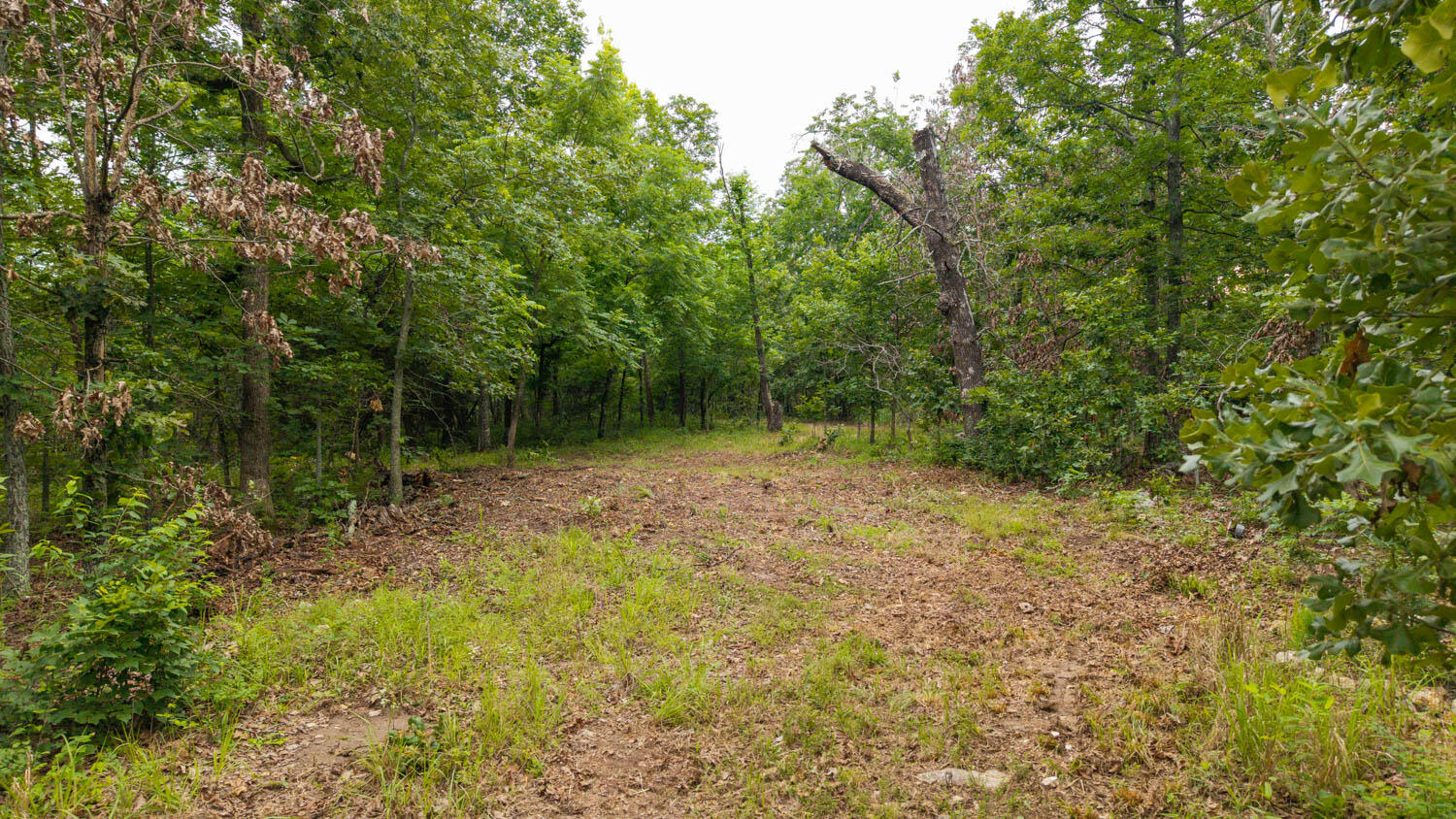 637 County Road 259 Property Photo 11
