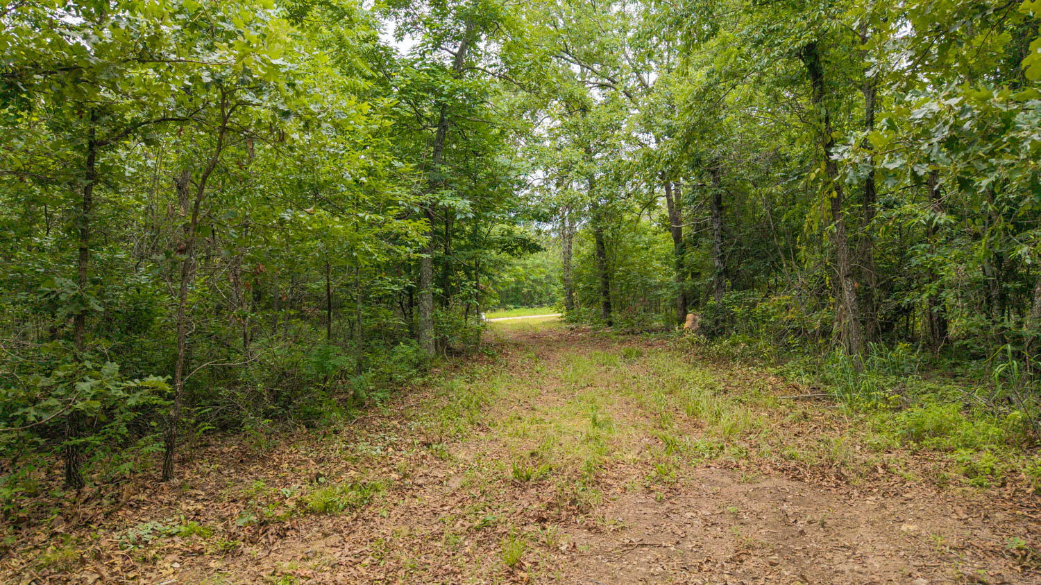 637 County Road 259 Property Photo 12