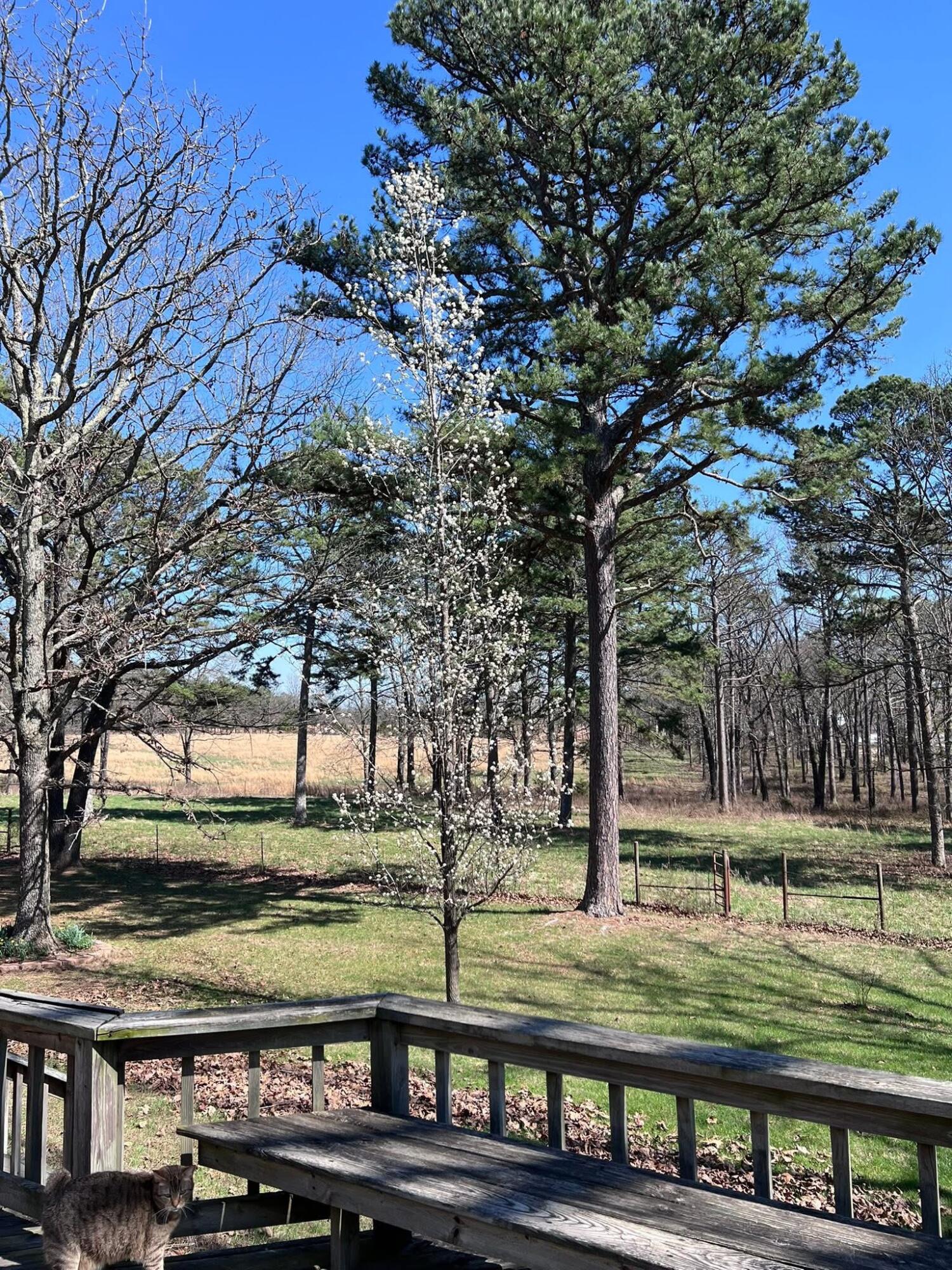 29658 State Route K Property Photo 58