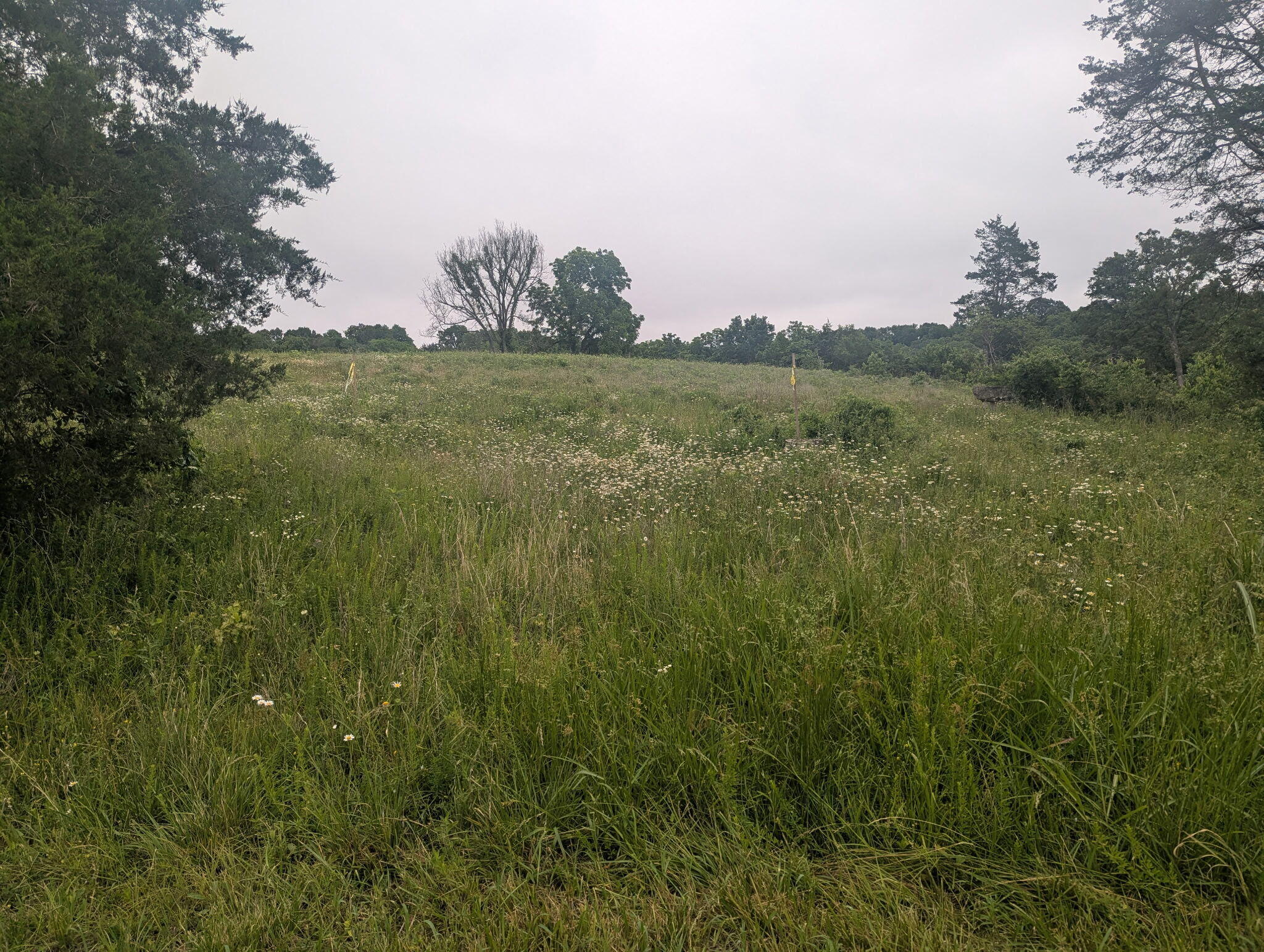 000 Semic Lane Property Photo 2