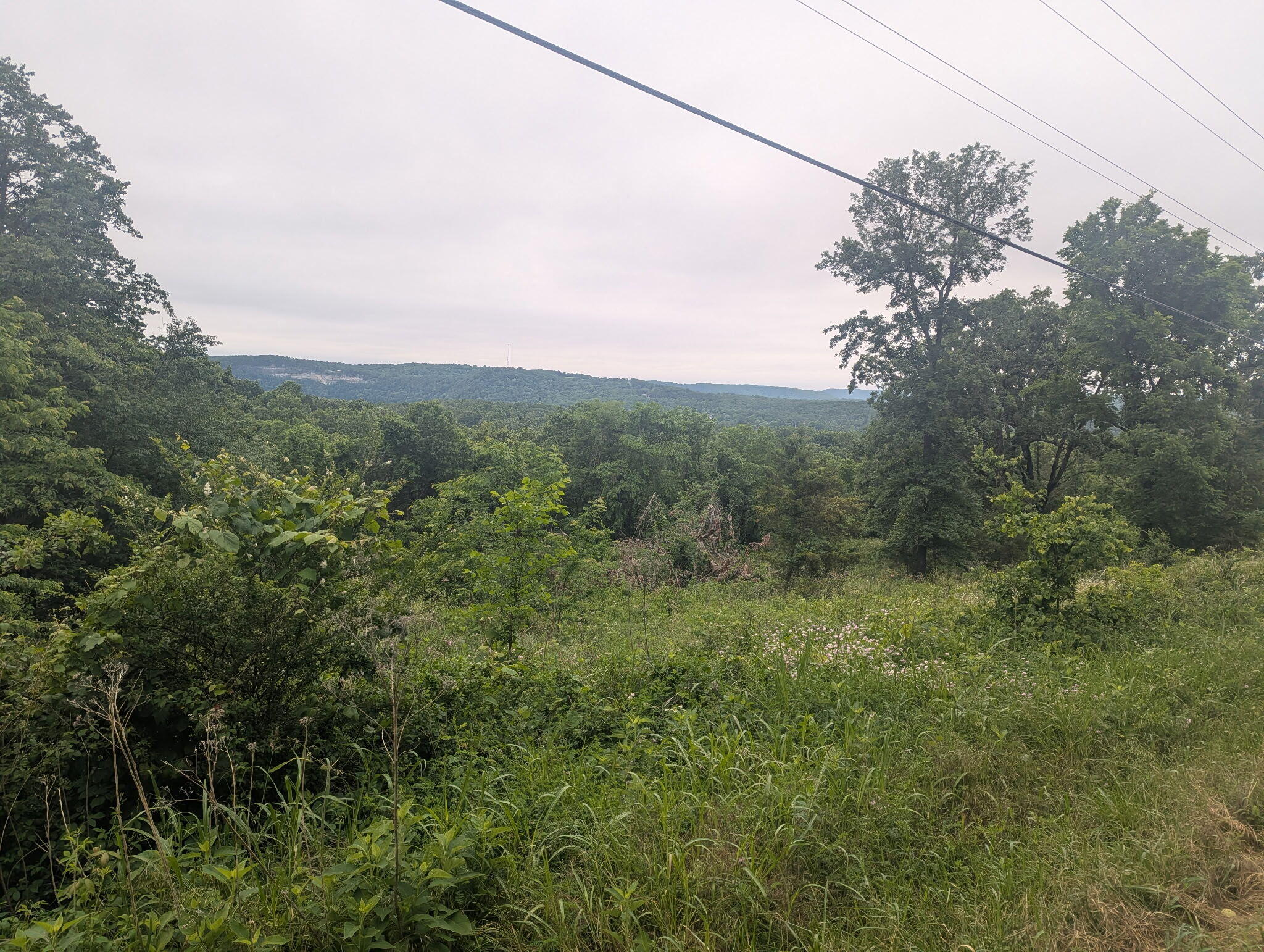 000 Semic Lane Property Photo 3