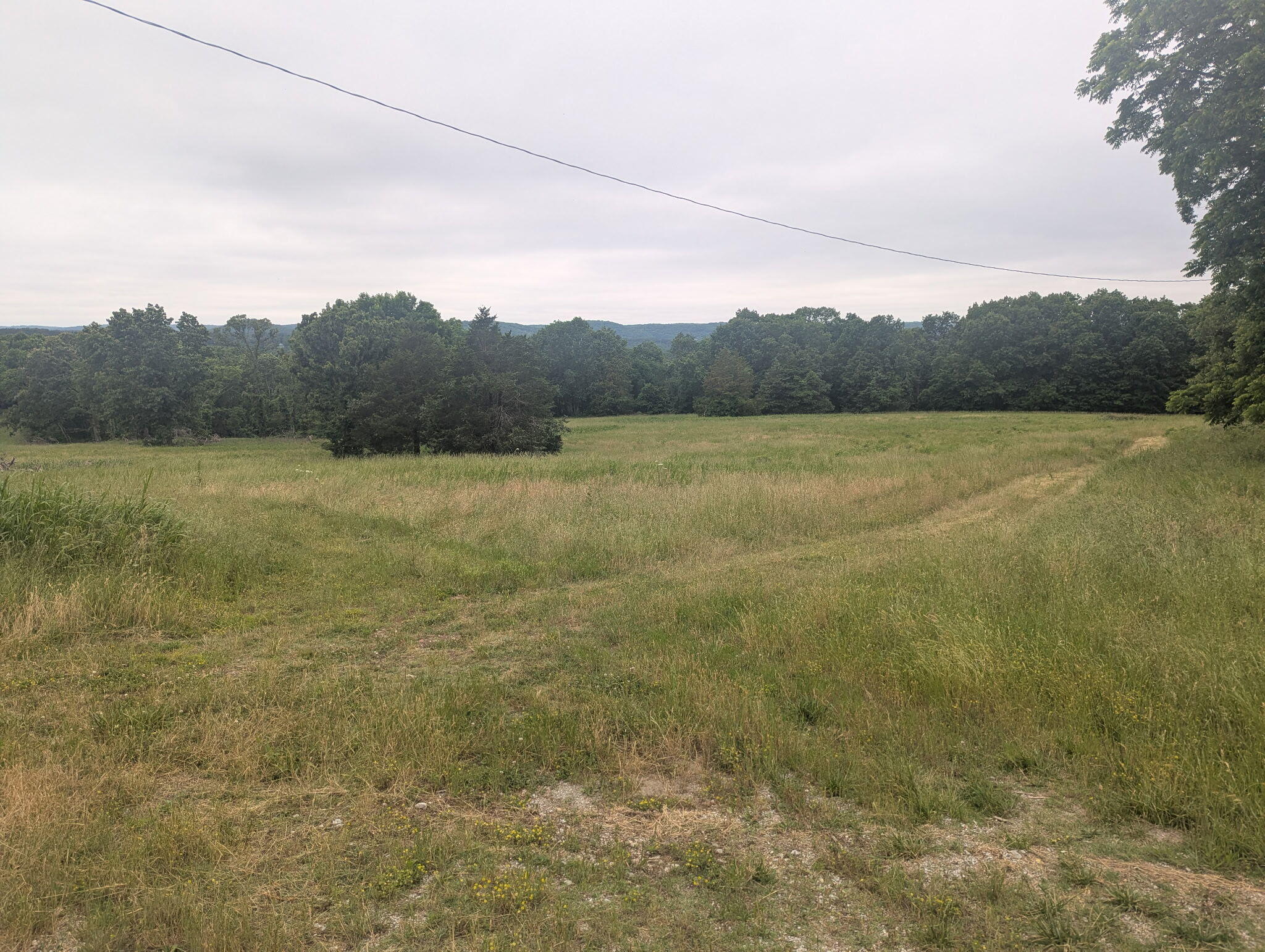 000 Semic Lane Property Photo 5