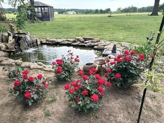 2886 County Road 382 Property Photo 28