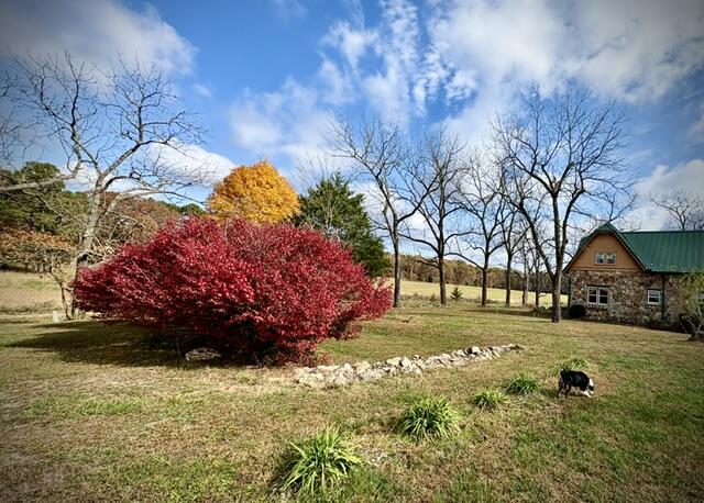 2886 County Road 382 Property Photo 35