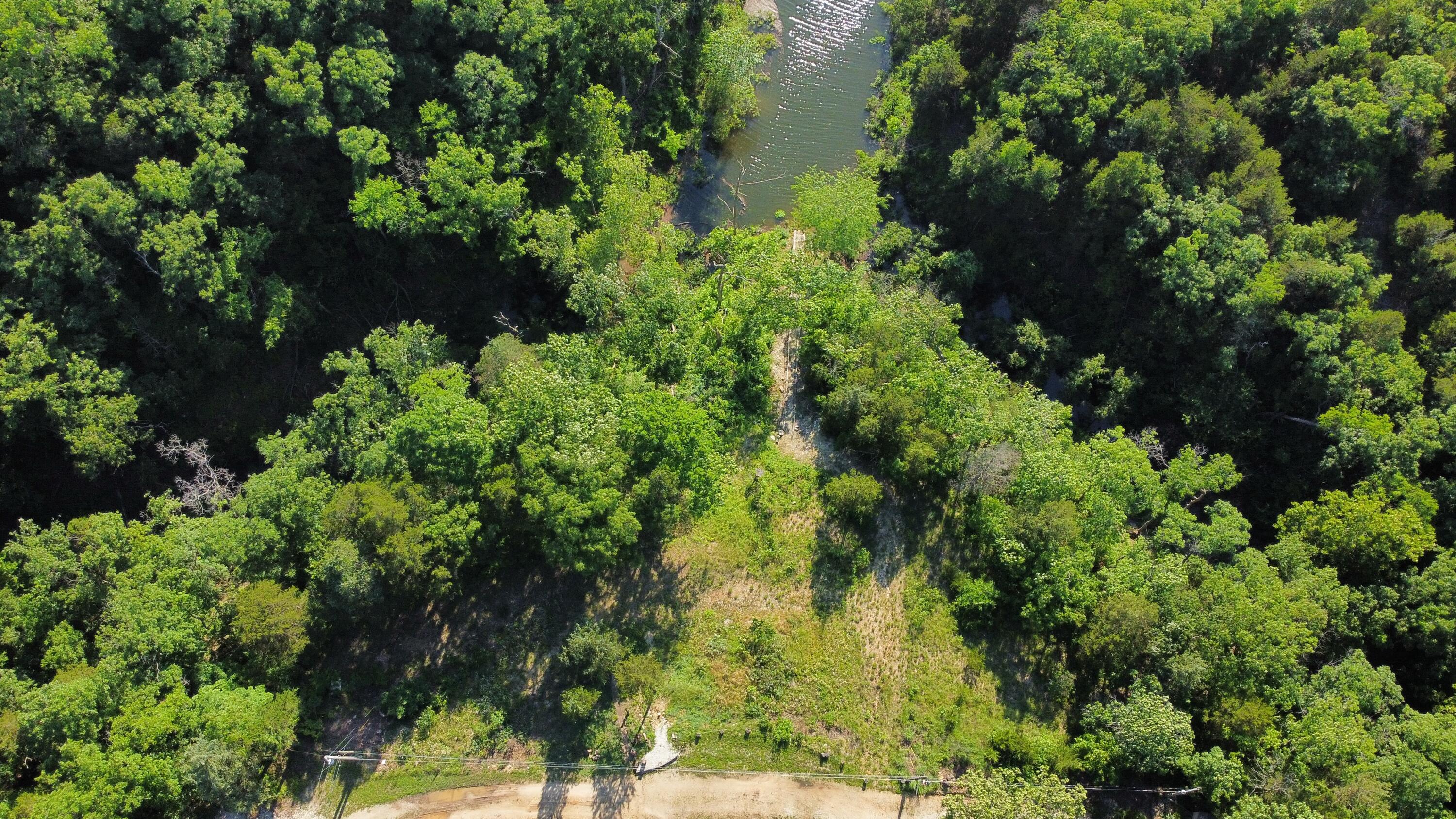 25960 Willow Road Property Photo 7