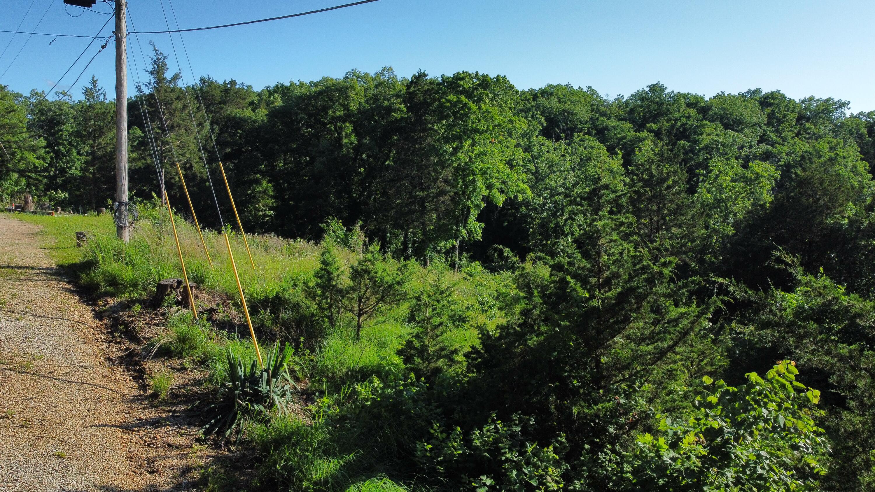 25960 Willow Road Property Photo 11