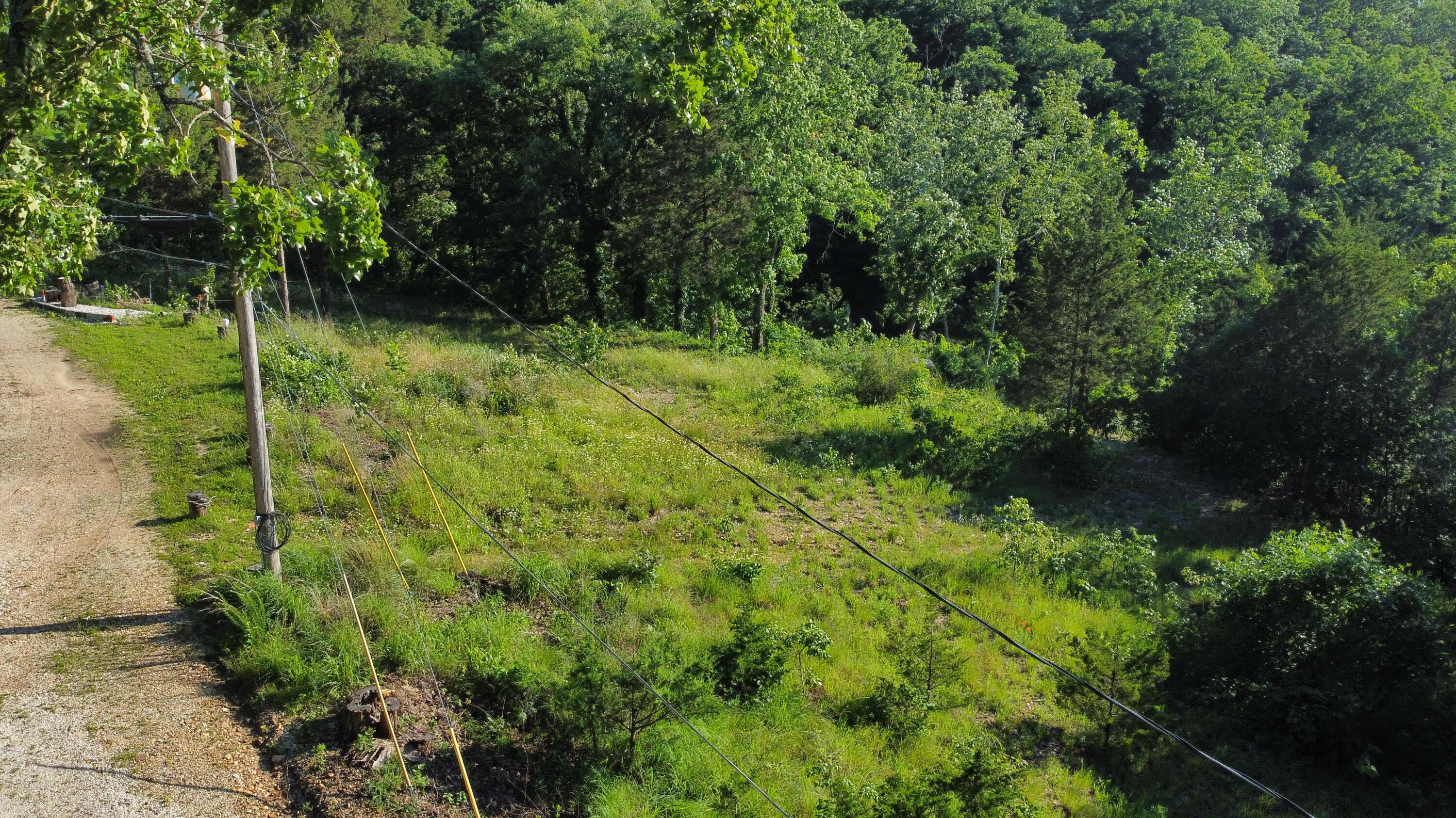 25960 Willow Road Property Photo 12