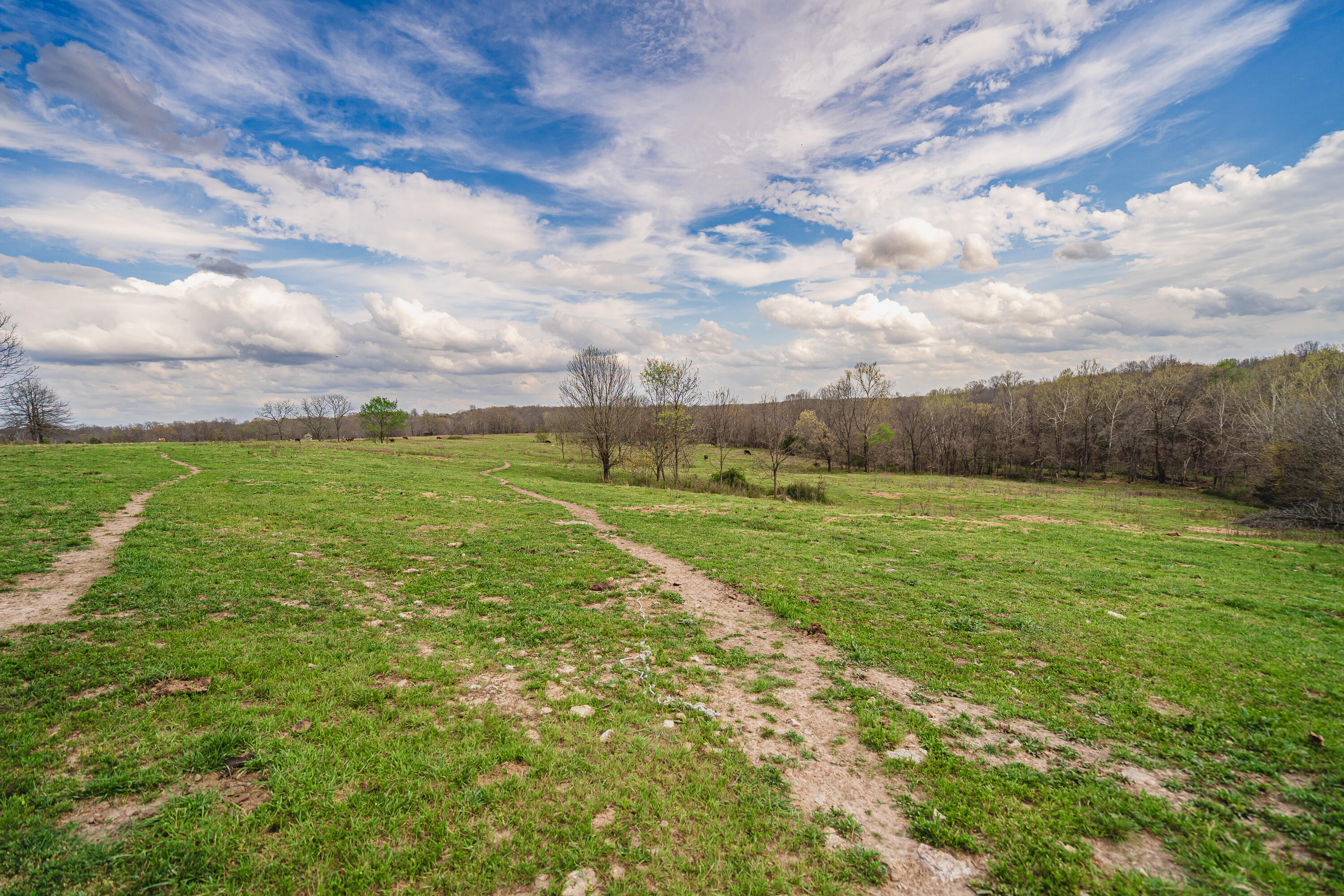 13500 County Road 6950 Property Photo 60