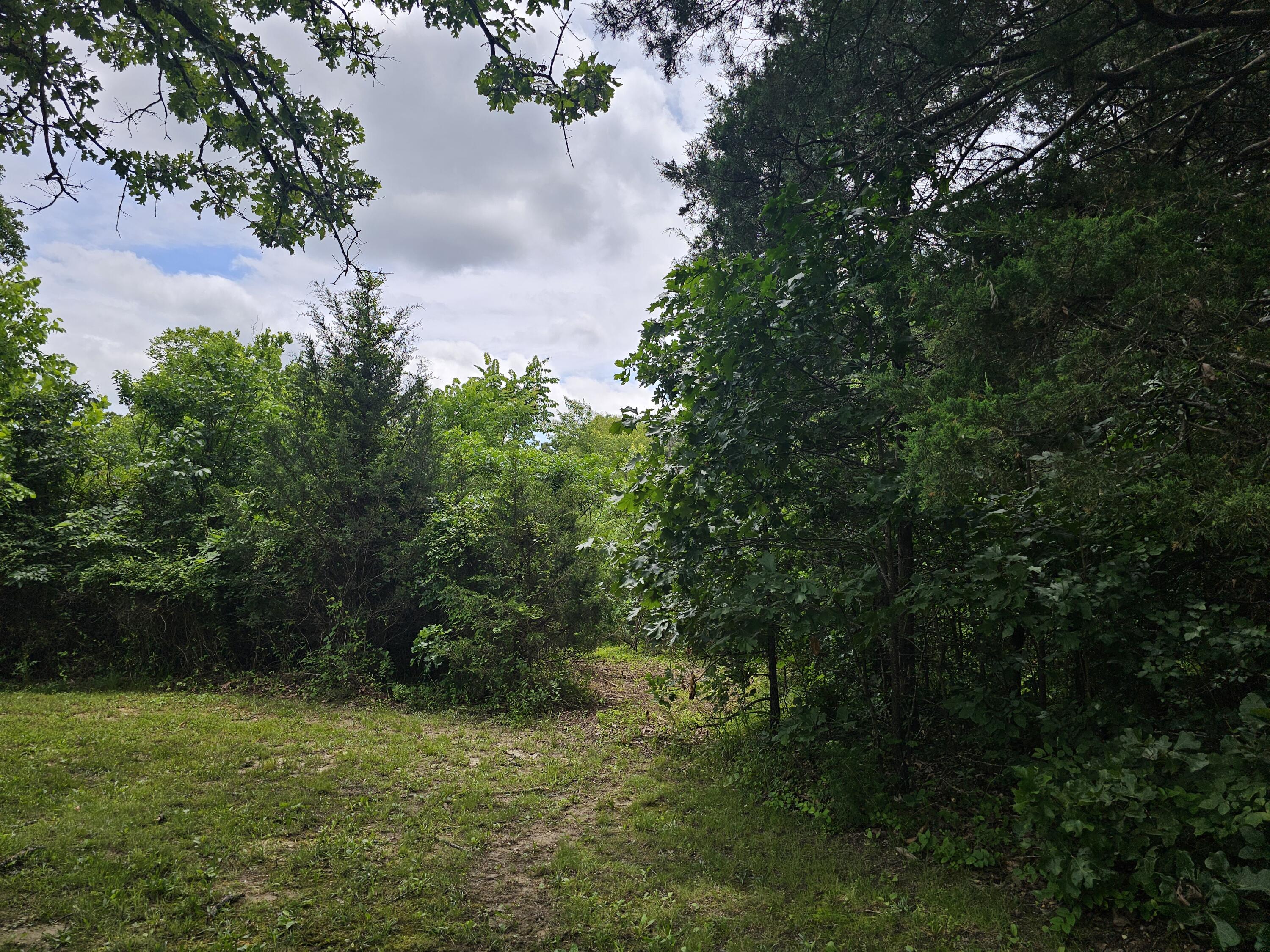 17150 Mo-17 Property Photo 10
