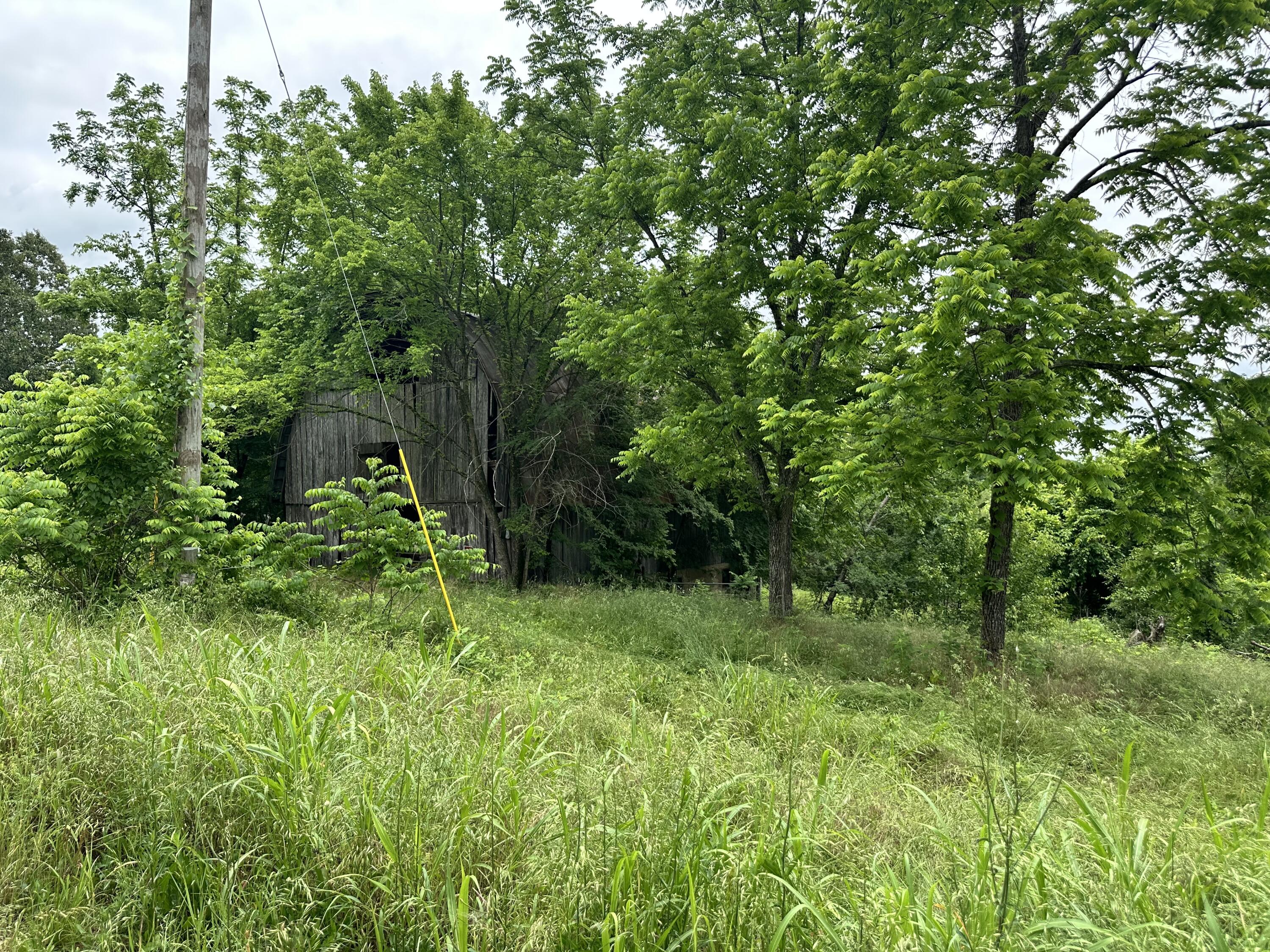 213 Trace Creek Trail Property Photo 31