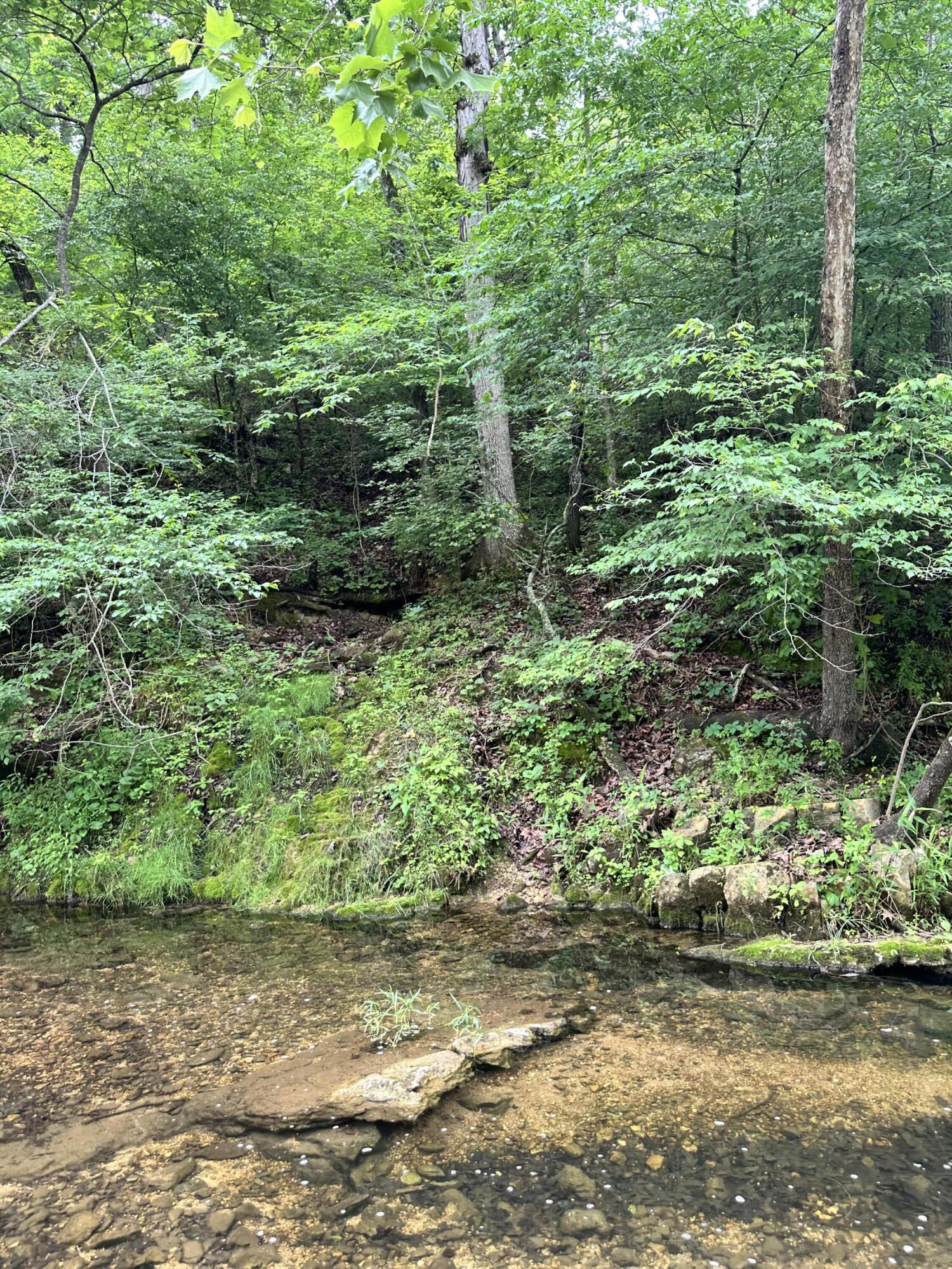 213 Trace Creek Trail Property Photo 37